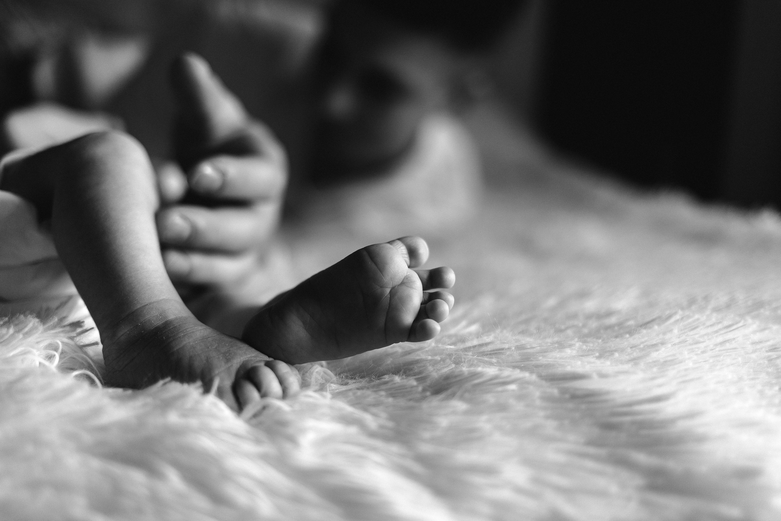 Алексей, Виктория и Артём. Фотограф в Нижнем Новгороде Панфилова Татьяна