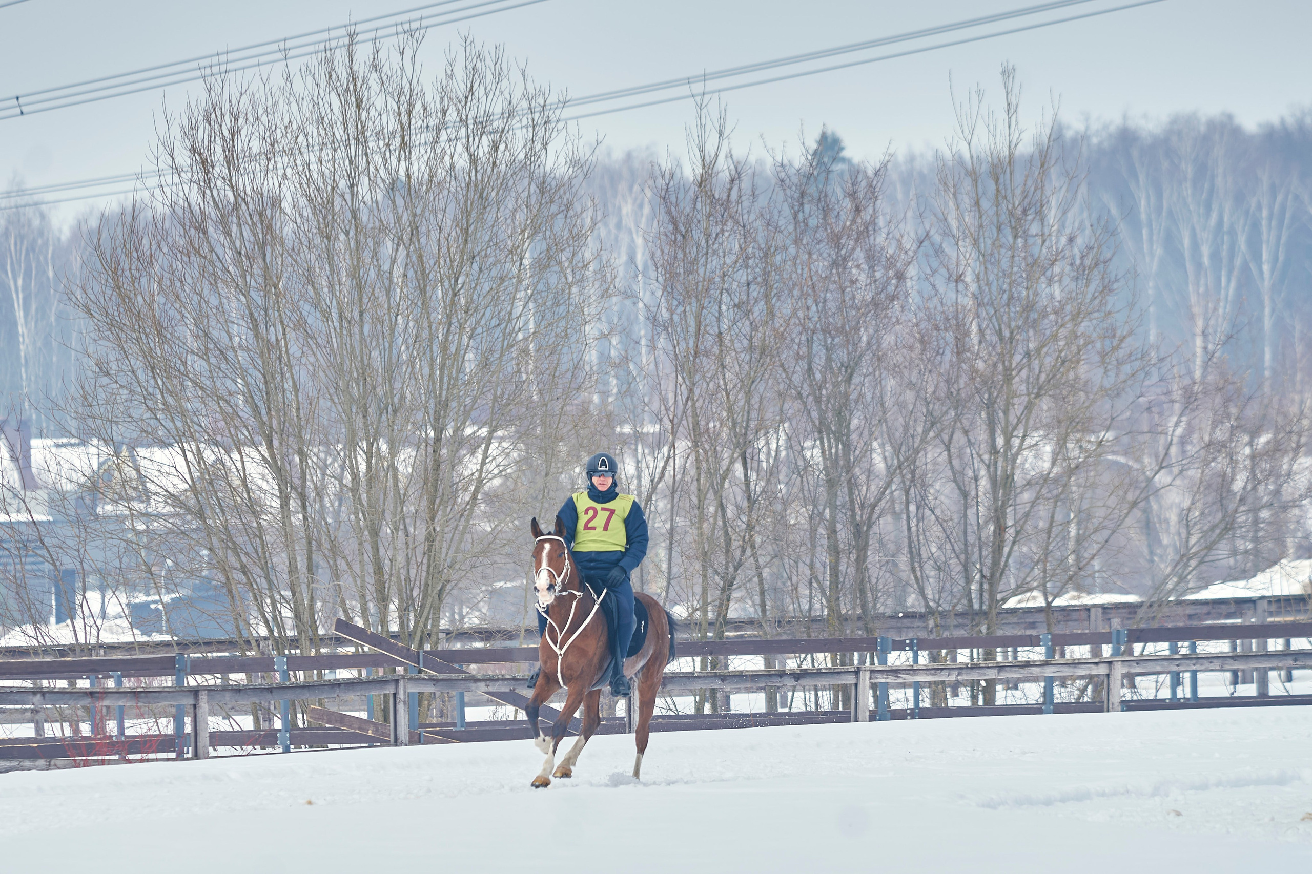 HORSE RACING. Фотограф Наталья Леонова