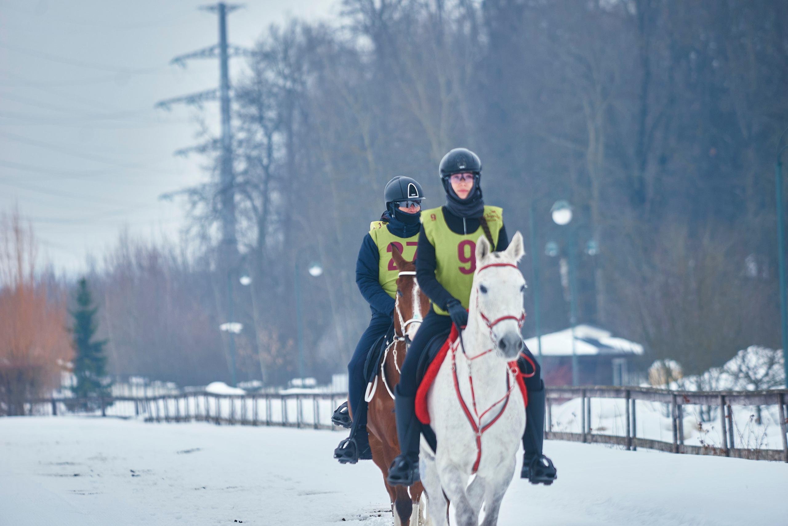 HORSE RACING. Фотограф Наталья Леонова