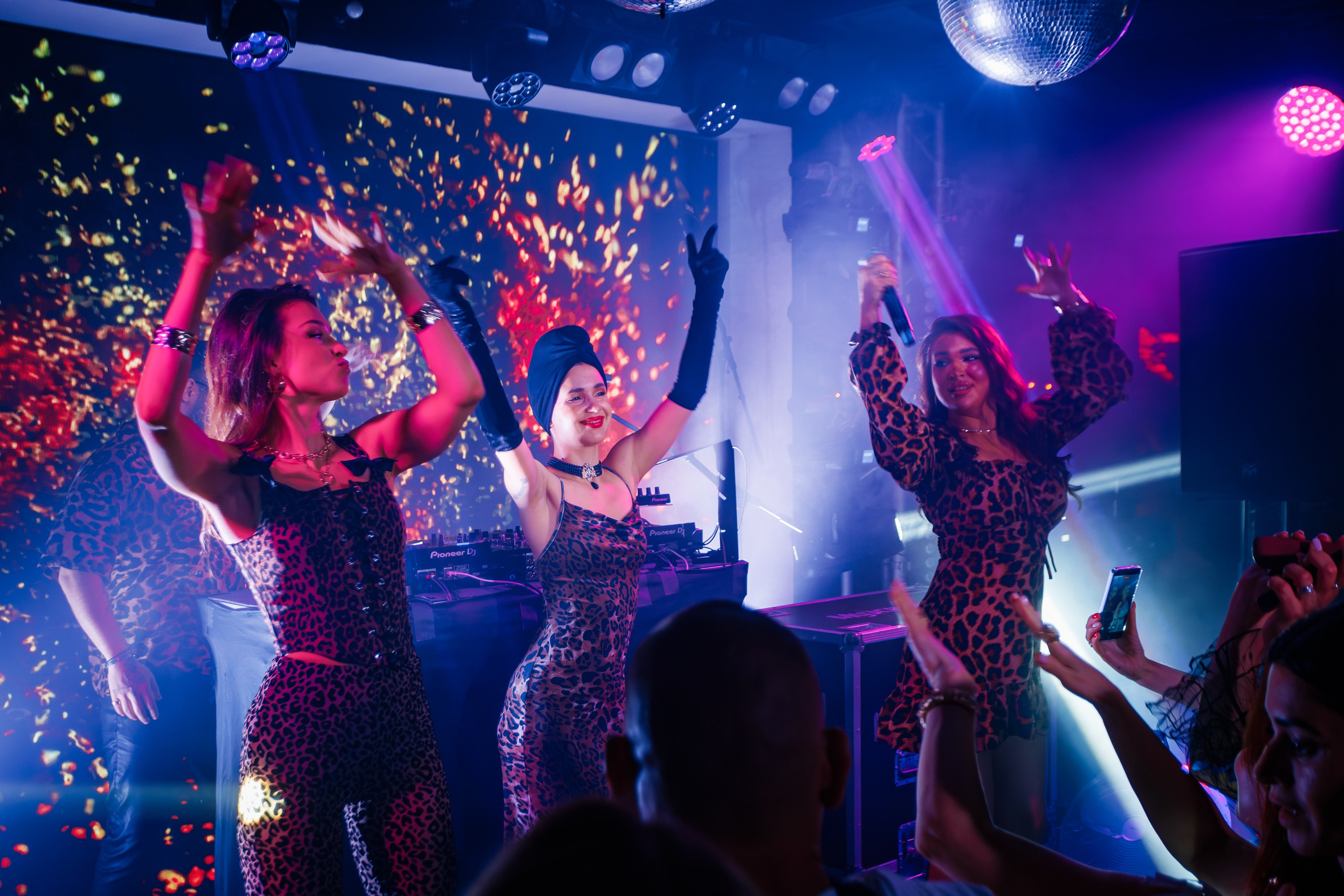 «Джиган"_Чайка на пляже_Ялта_12.07.2025 г. Аминов Руслан | Фотограф