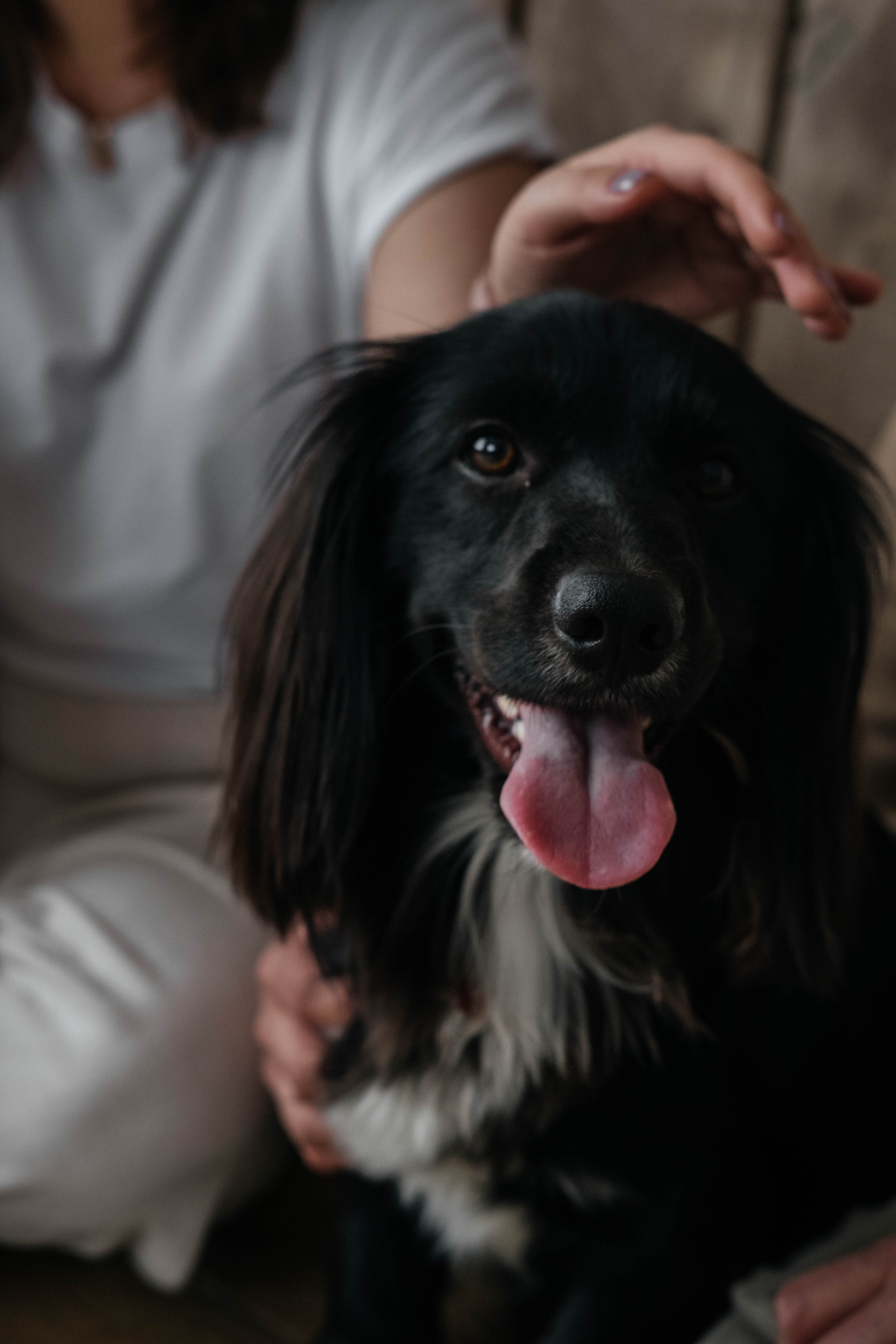 Даша, Рома и Чарли. Фотограф Троицк Челябинская область Анастасия Штаер