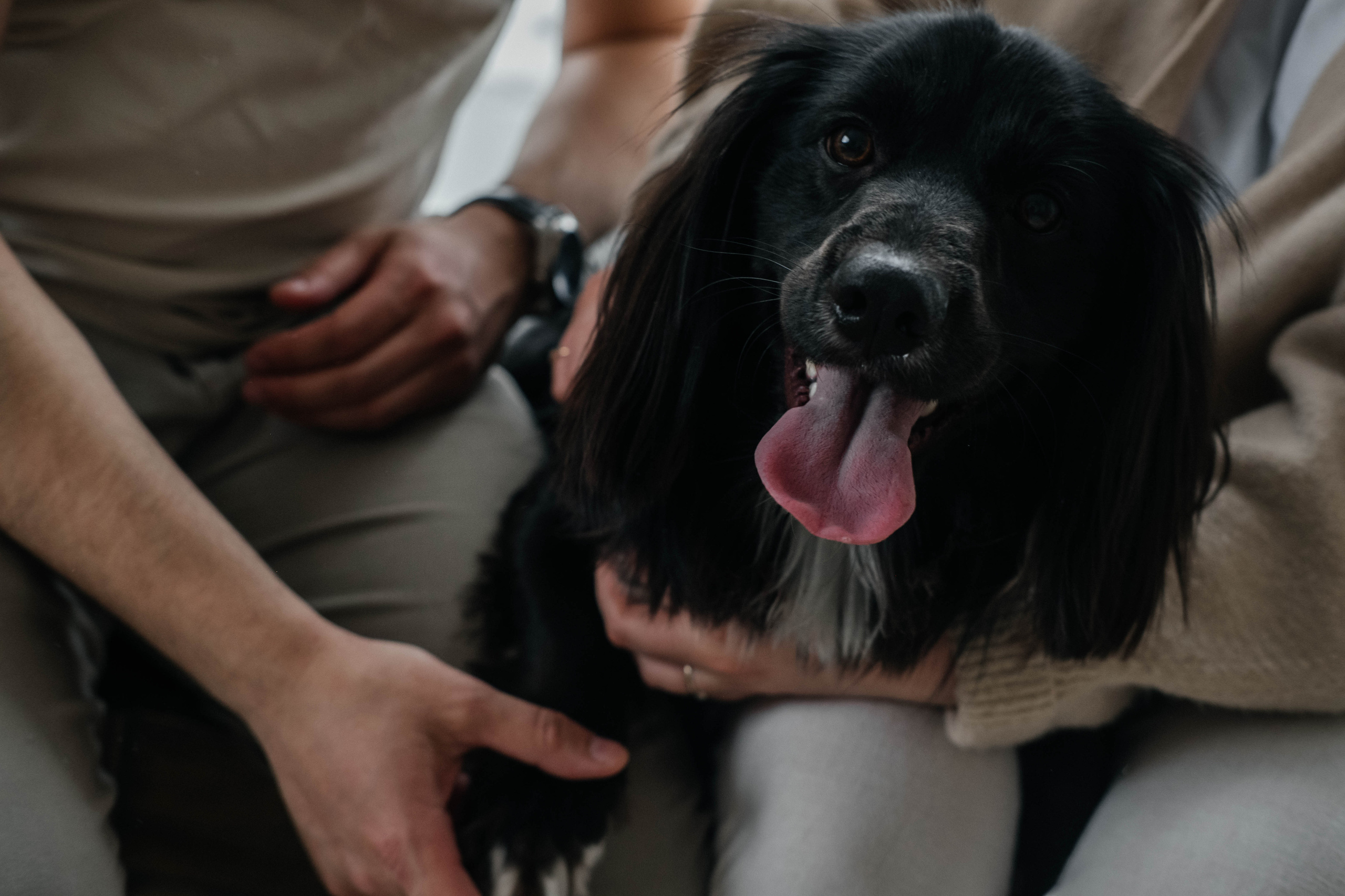 Даша, Рома и Чарли. Фотограф Троицк Челябинская область Анастасия Штаер