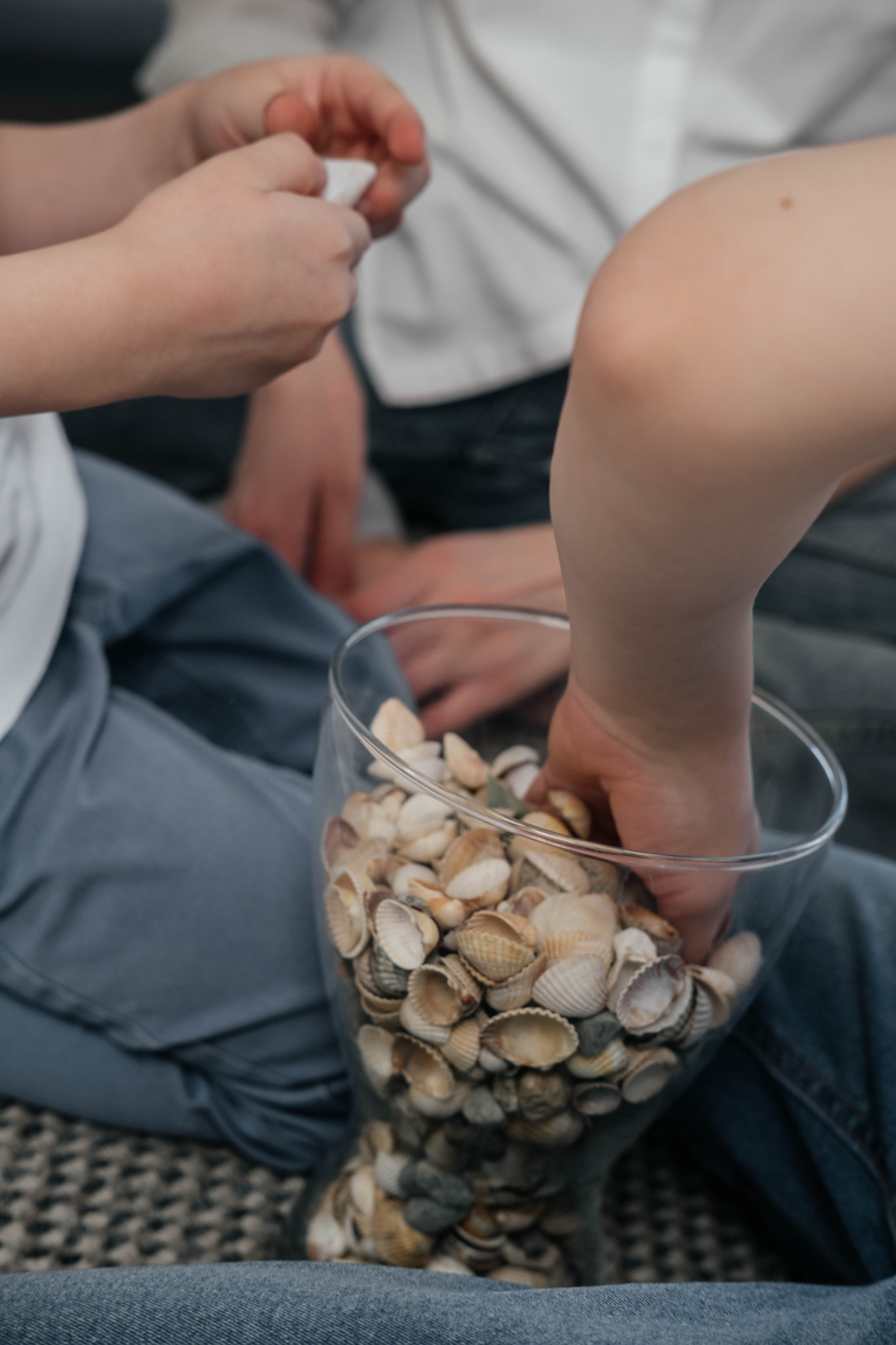 Семья Белобровых. Фотограф Троицк Челябинская область Анастасия Штаер