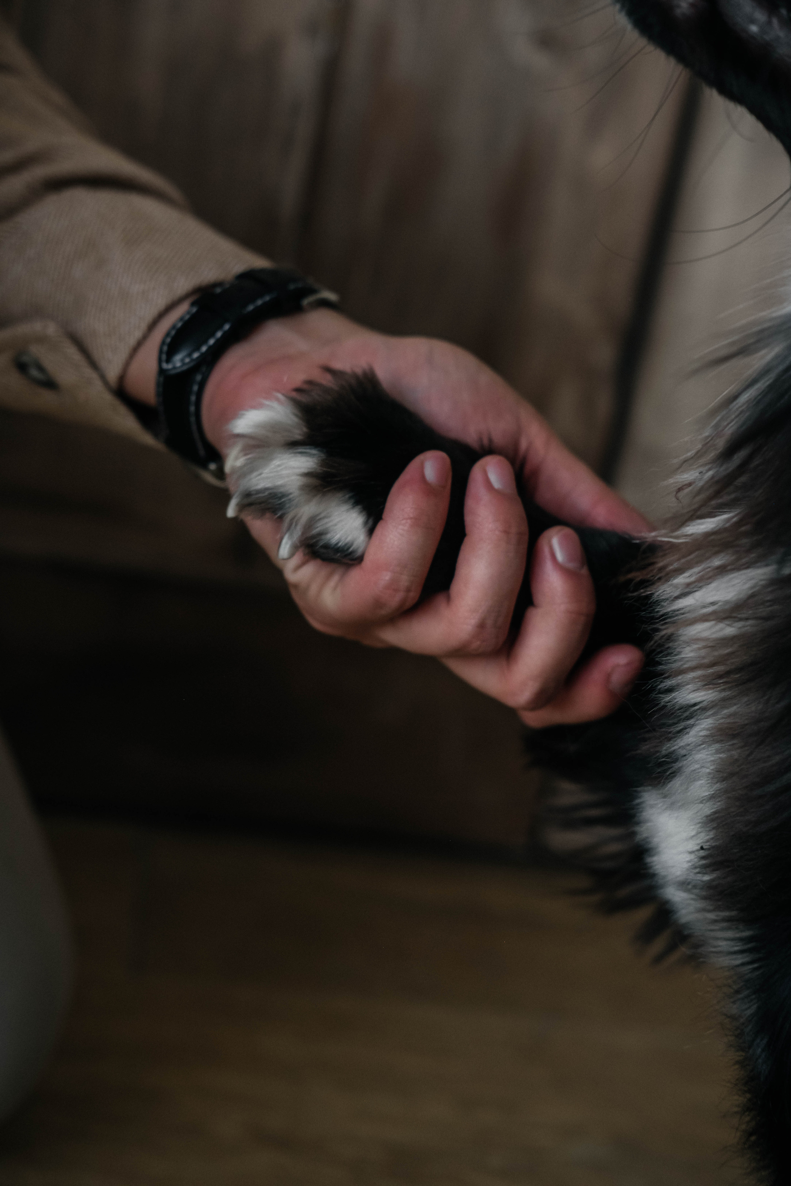 Даша, Рома и Чарли. Фотограф Троицк Челябинская область Анастасия Штаер