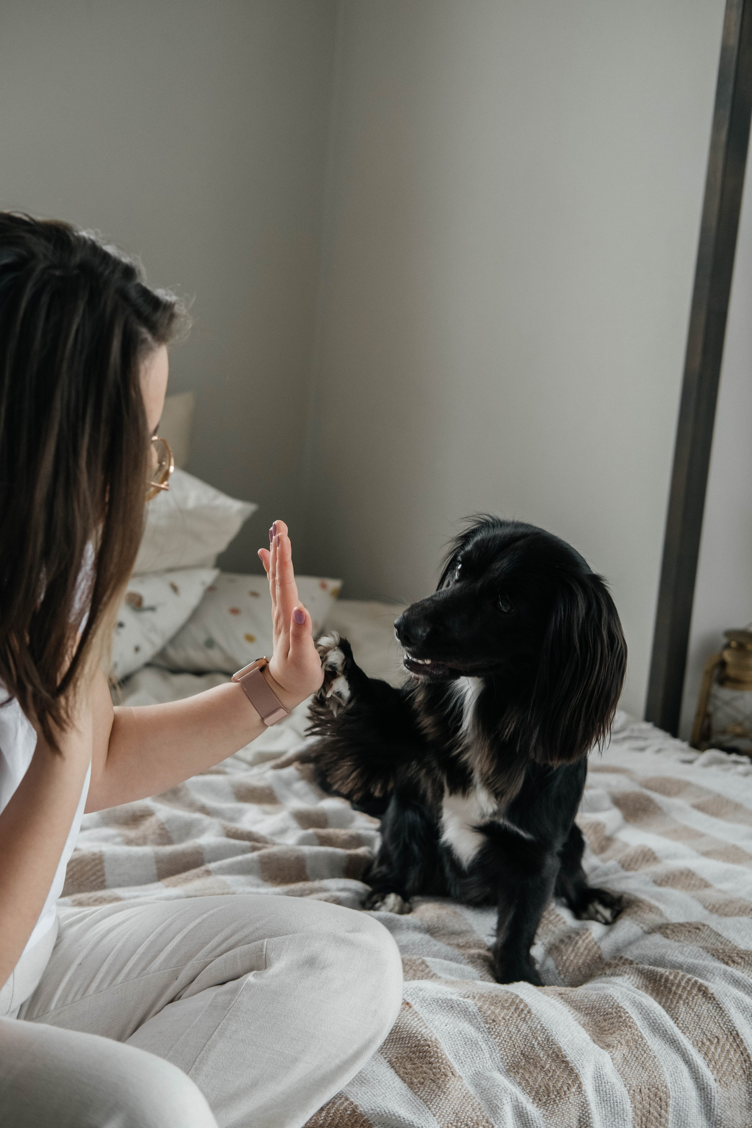 Даша, Рома и Чарли. Фотограф Троицк Челябинская область Анастасия Штаер