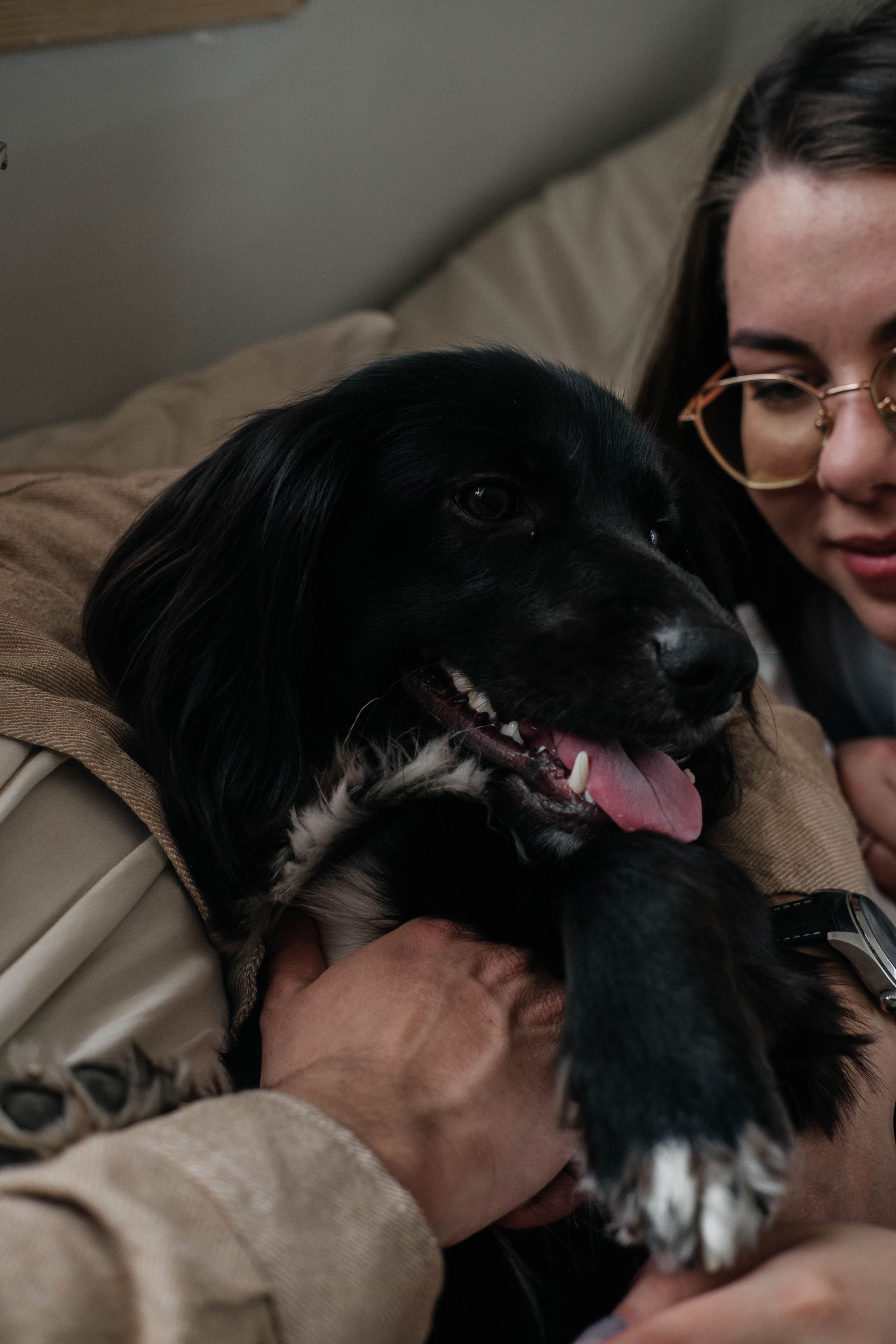 Даша, Рома и Чарли. Фотограф Троицк Челябинская область Анастасия Штаер