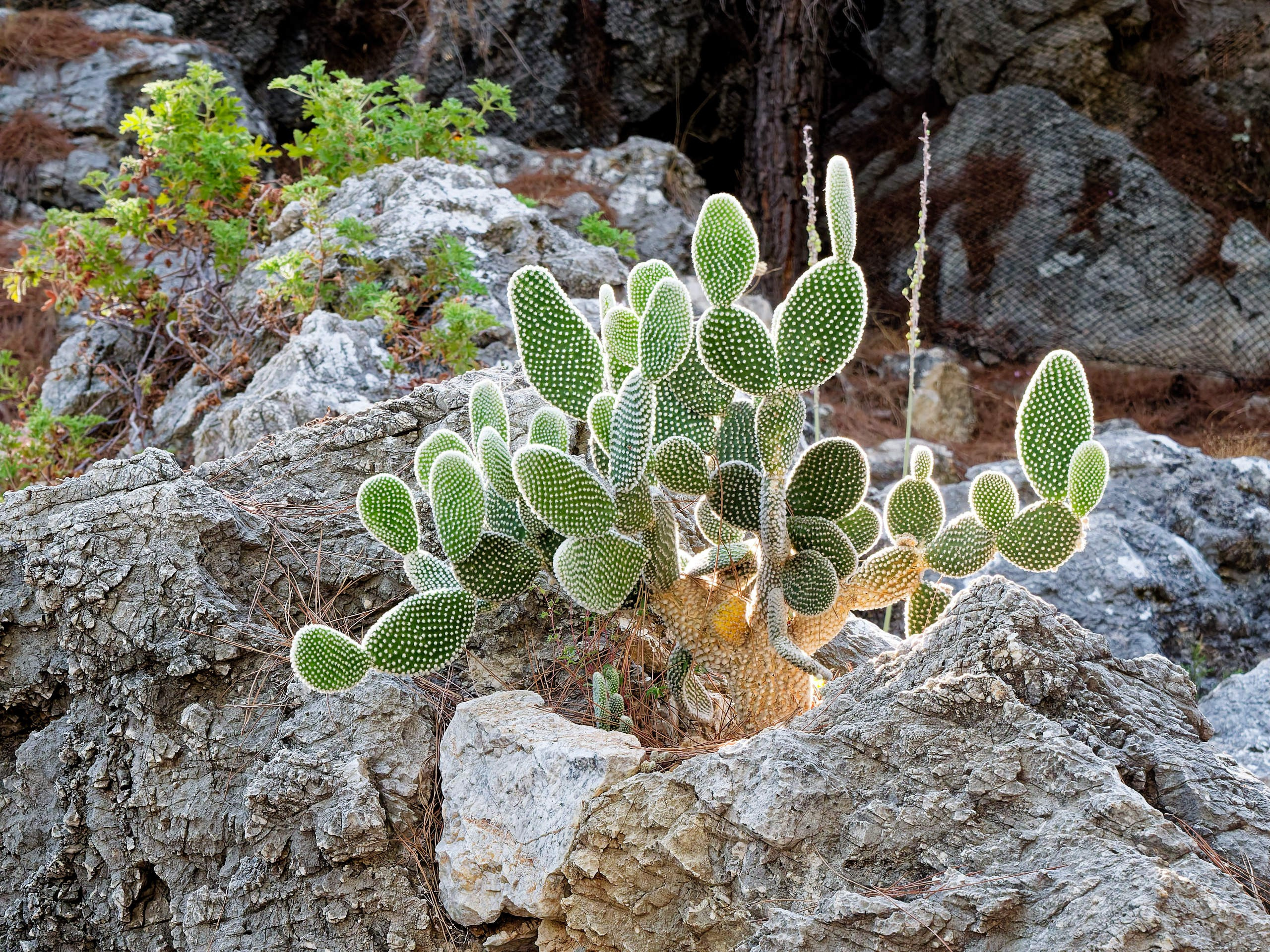 Алания 2025, крепость Alanya Kalesi. Избранные фотографии