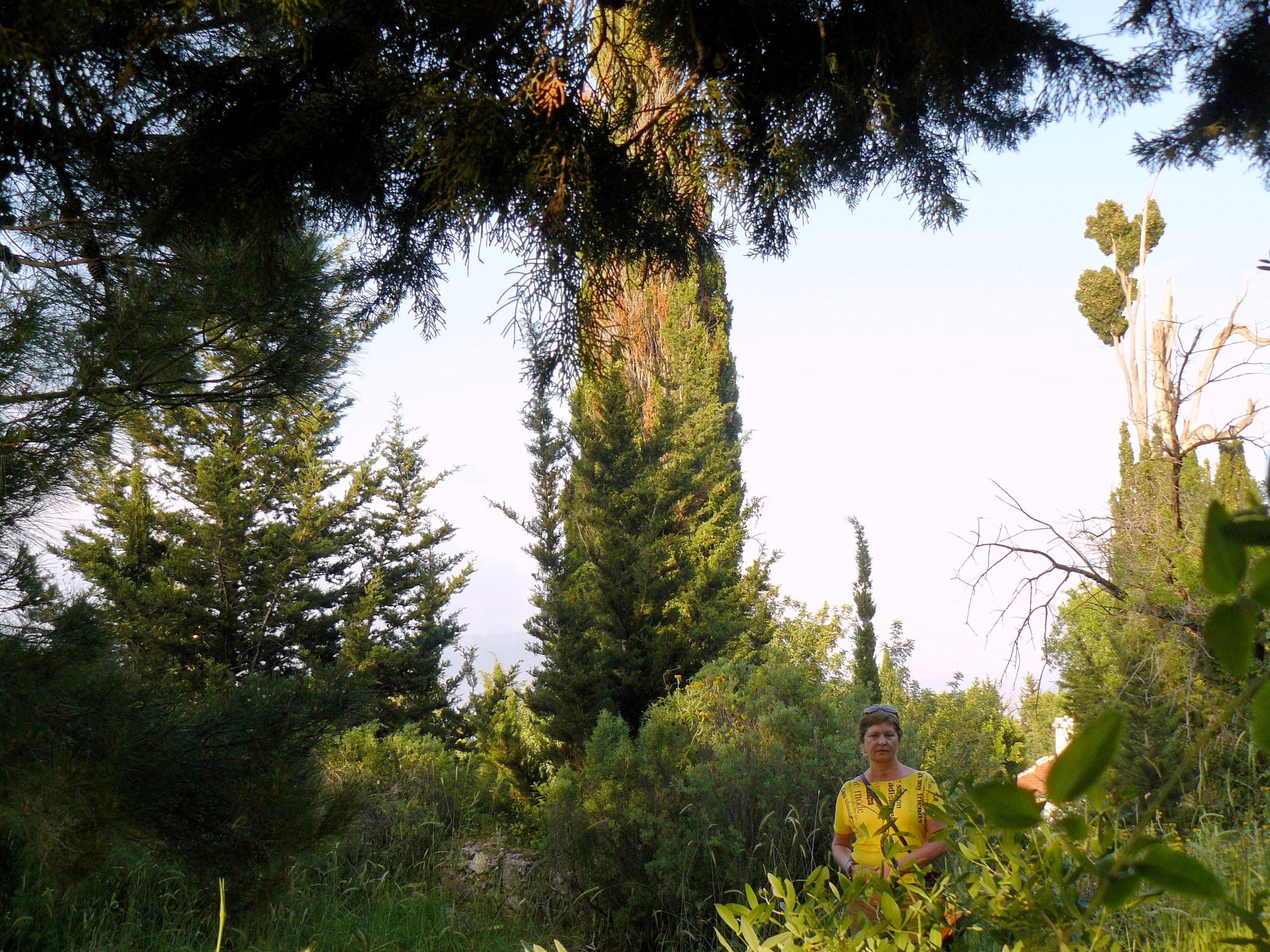 Алания 2014 старая крепость. Фотопрогулки по Миру