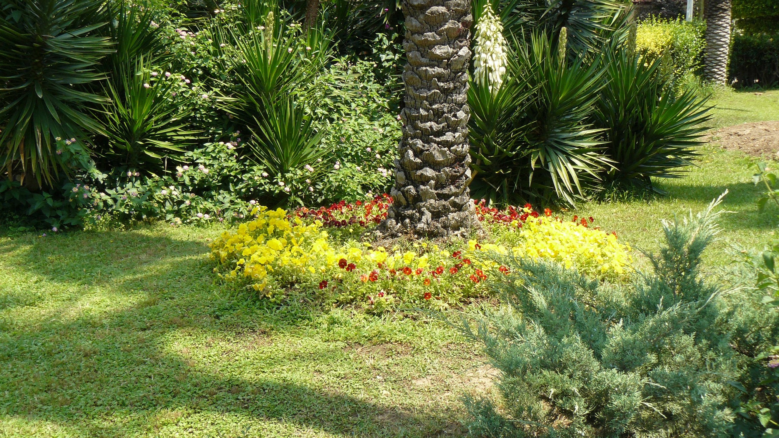 Алания 2015 порт и парк. Фотопрогулки по Миру