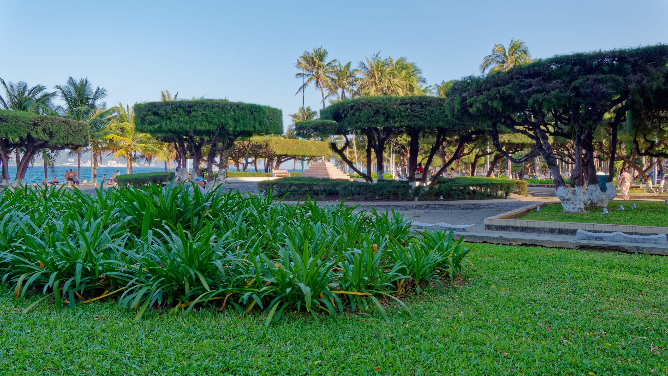 Нячанг 2025 (1). Избранные фотографии