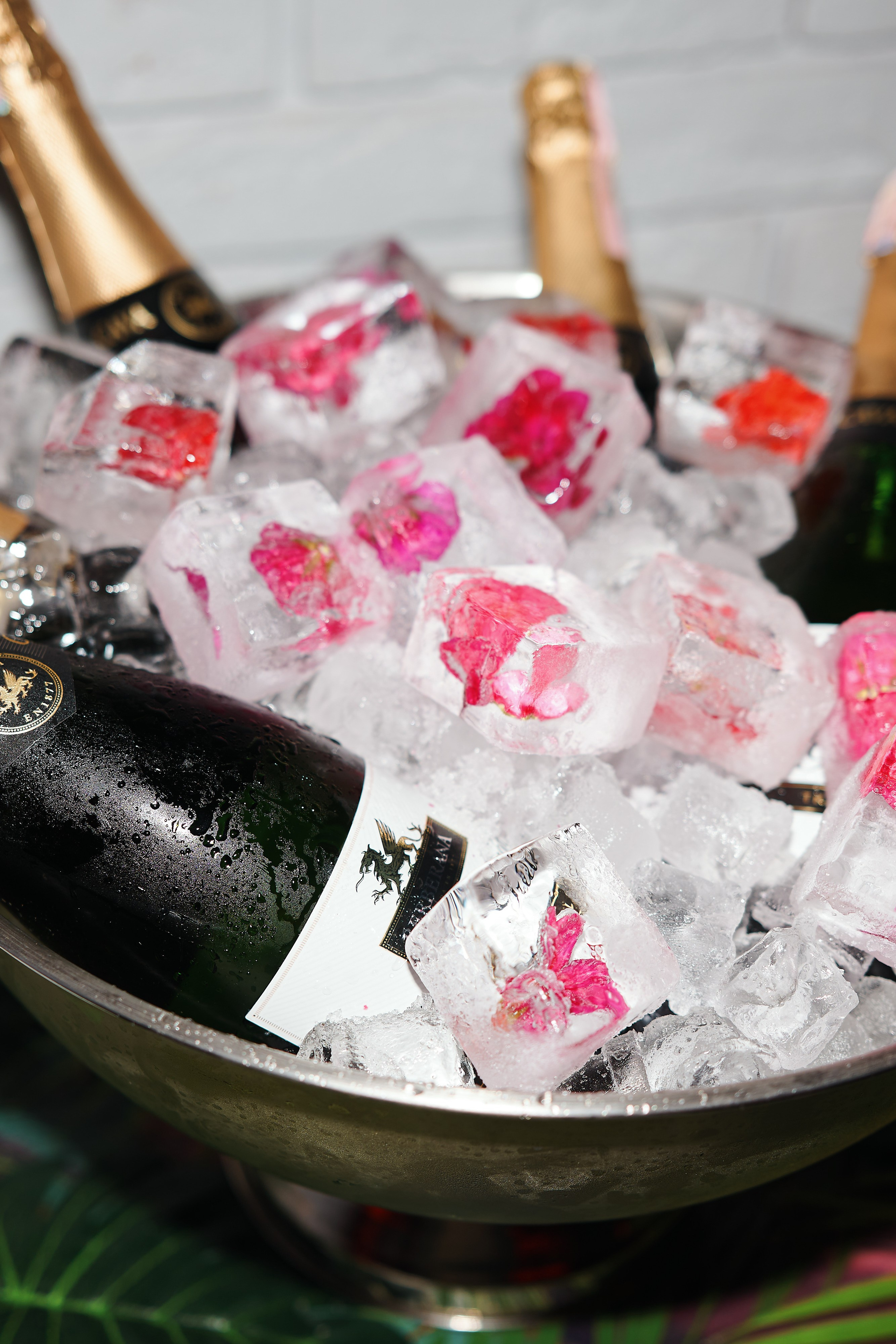 7stories. Репортажной фотограф Ариан