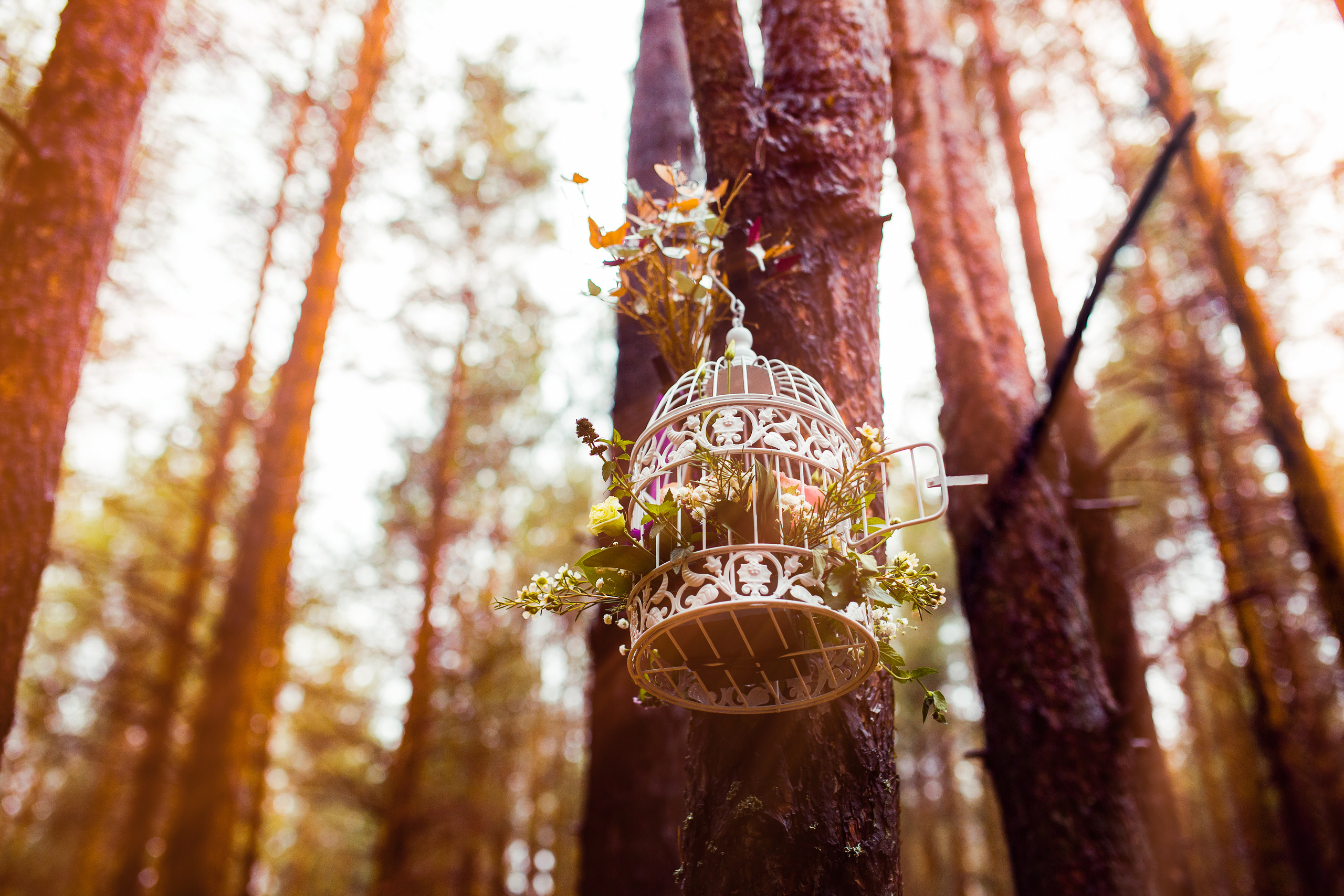 Nature Grand Tour. Свадебный, семейный фотограф и видеограф в Перми Павел Савин
