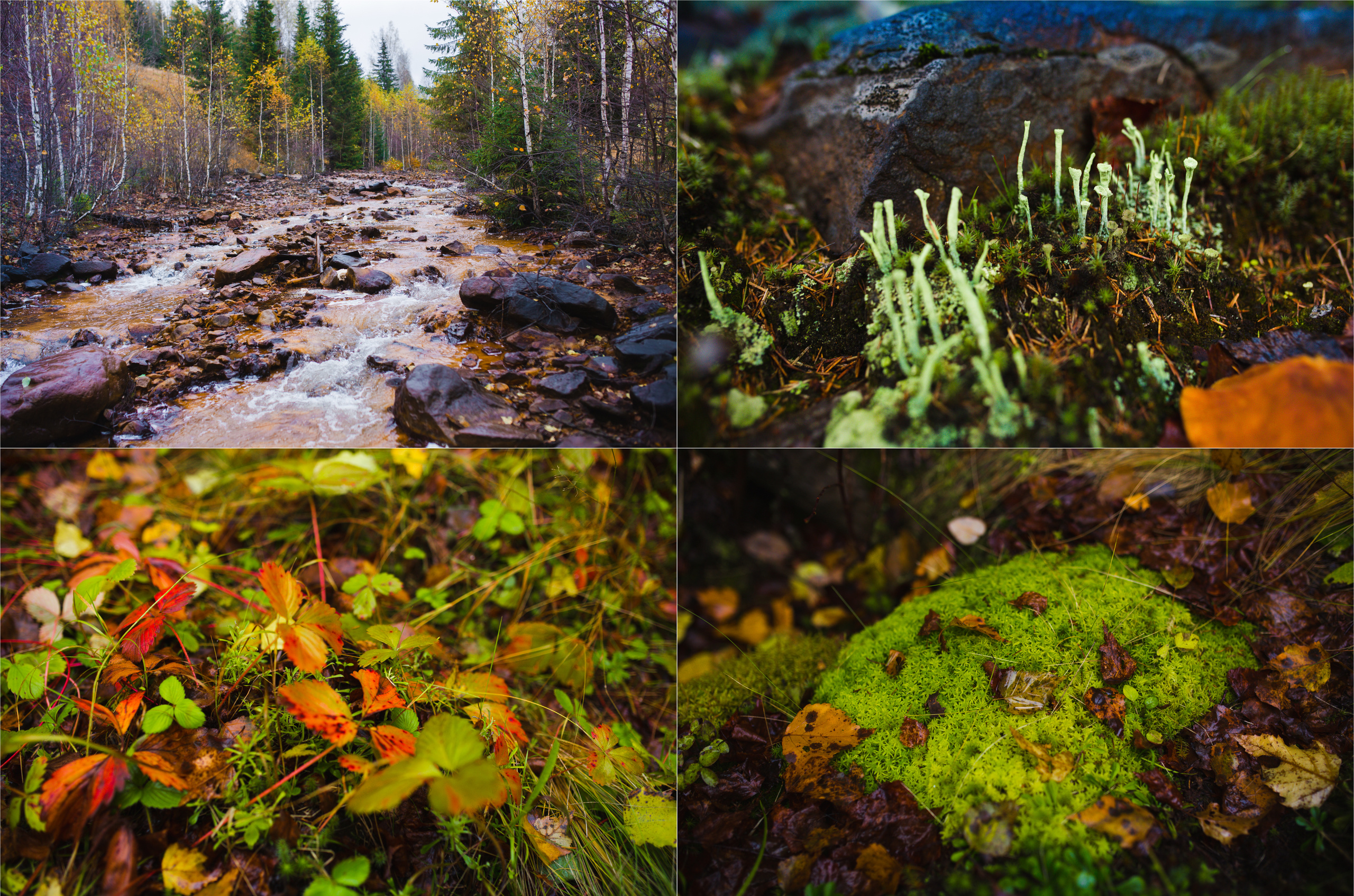 Nature Grand Tour. Свадебный, семейный фотограф и видеограф в Перми Павел Савин
