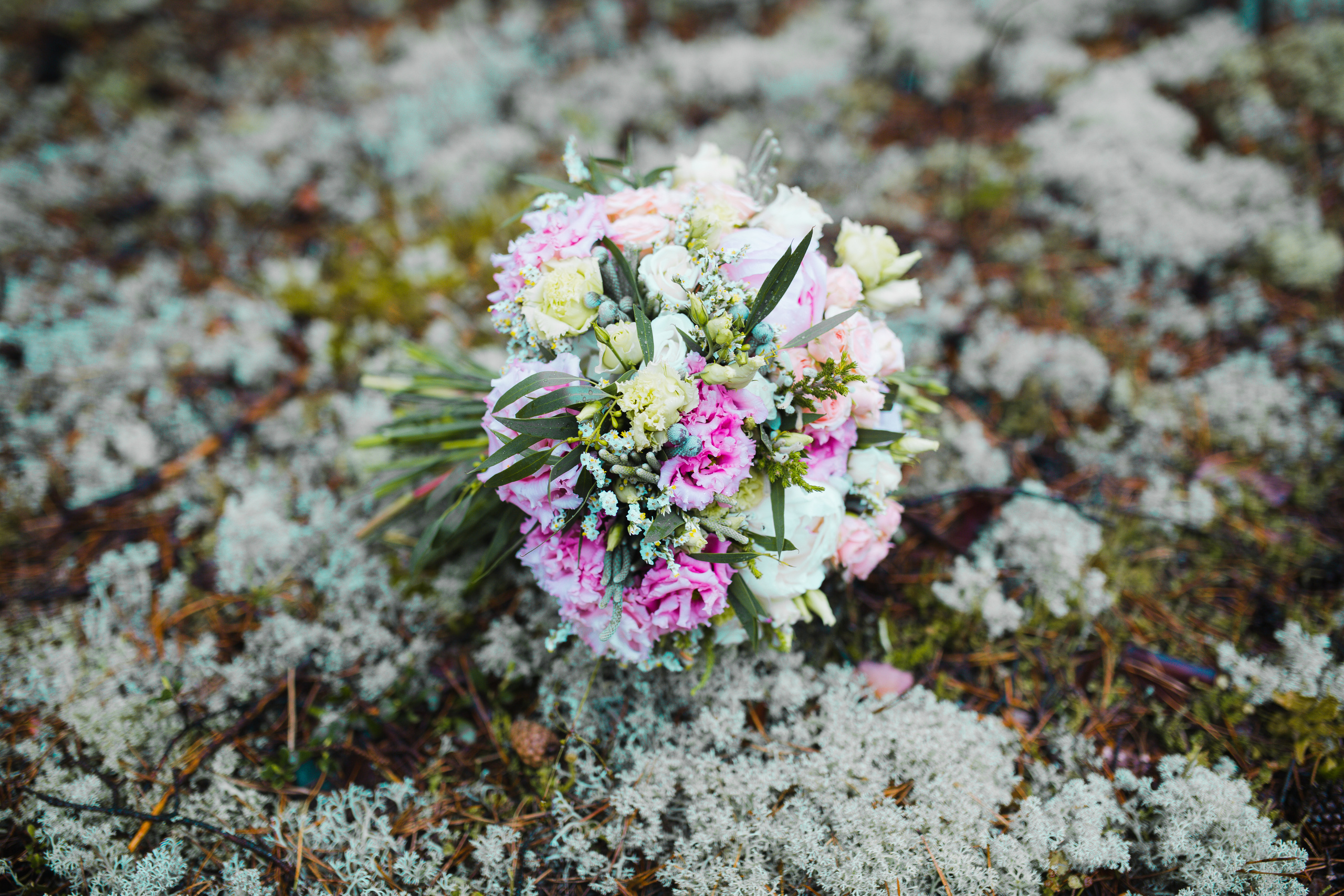 Nature Grand Tour. Свадебный, семейный фотограф и видеограф в Перми Павел Савин