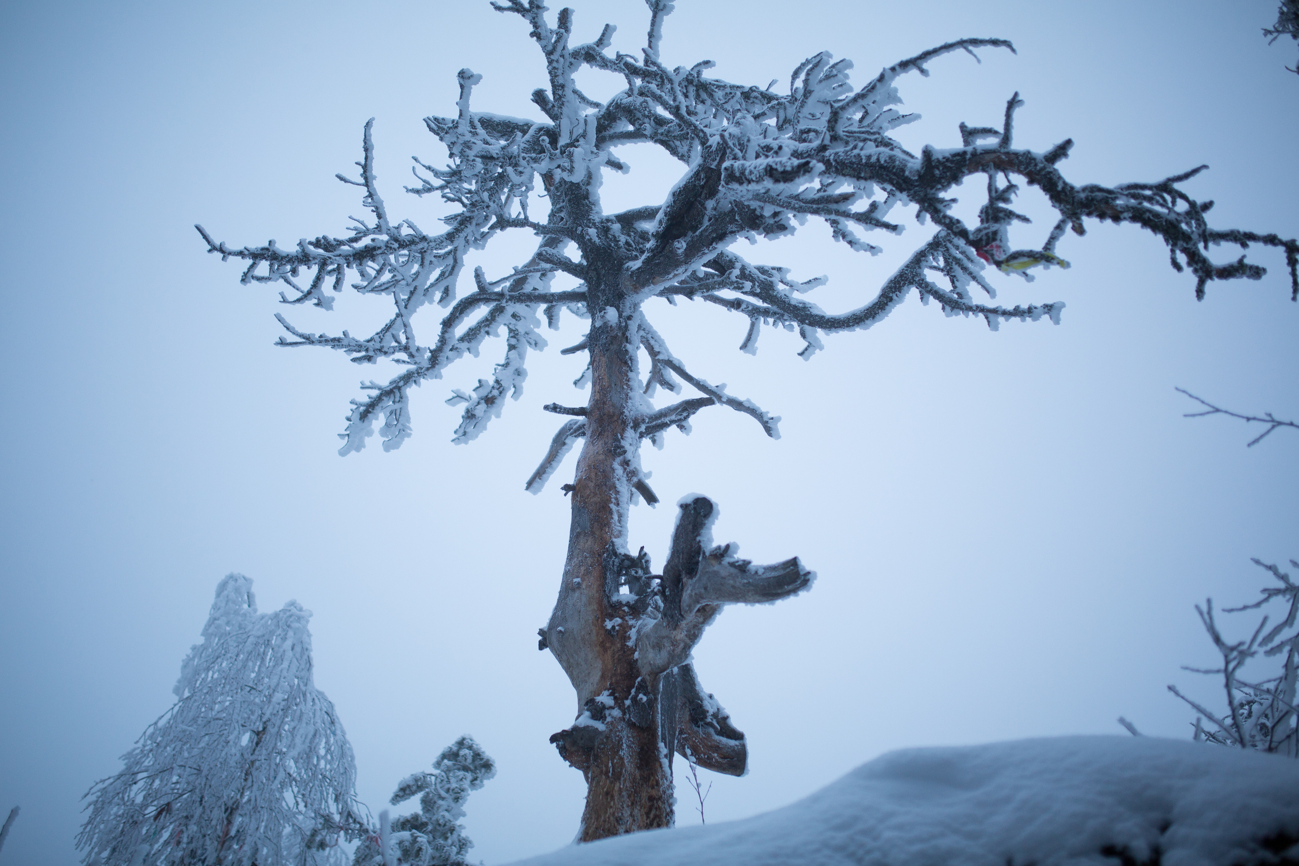 Nature Grand Tour. Свадебный, семейный фотограф и видеограф в Перми Павел Савин
