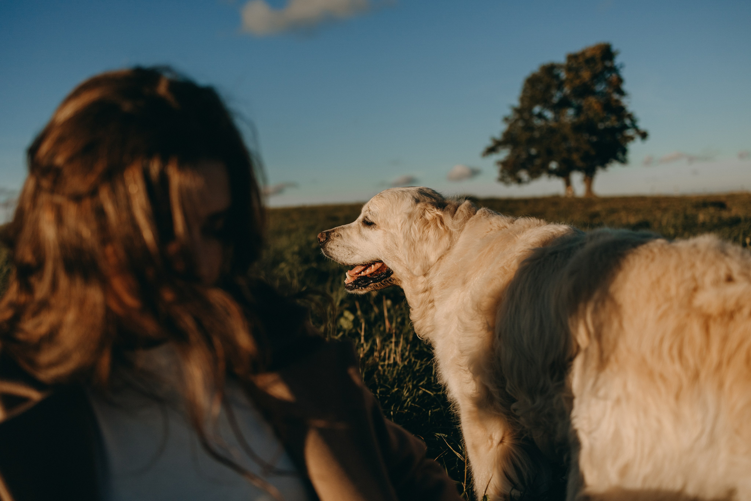 Лера и Скай. Фотограф — Анималист | Санкт-Петербург