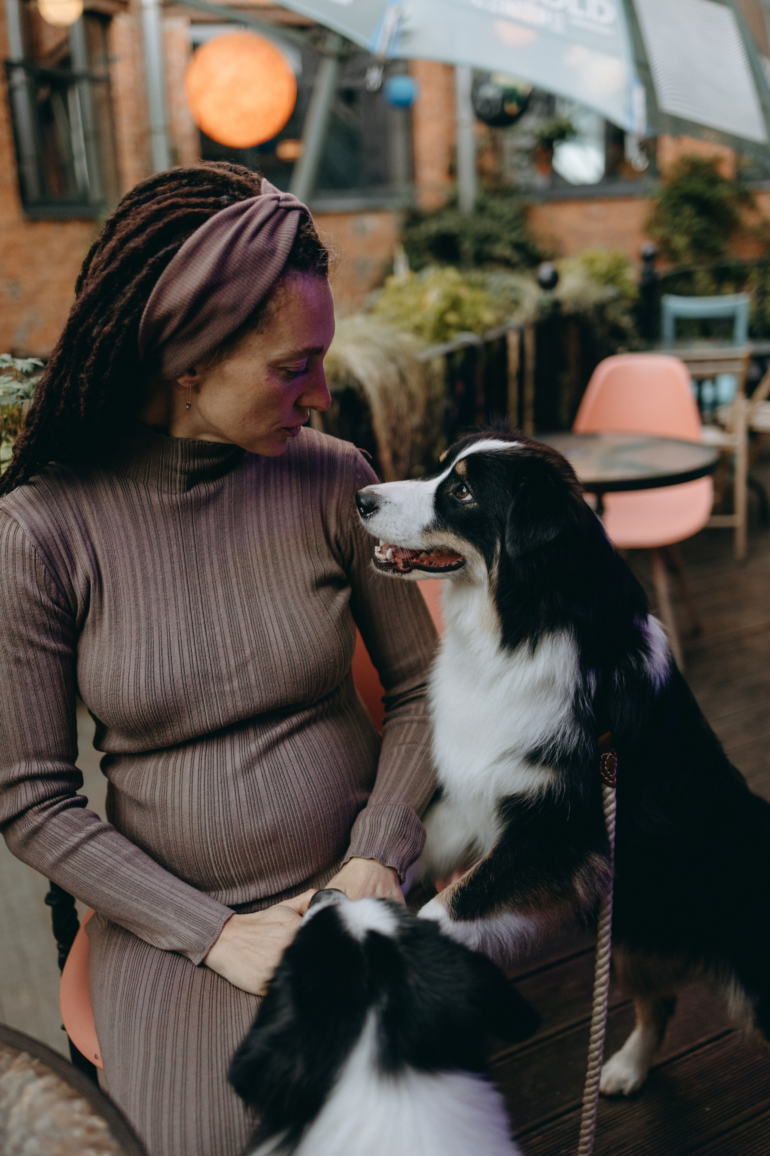 Катя и ее девочки. Фотограф — Анималист | Санкт-Петербург