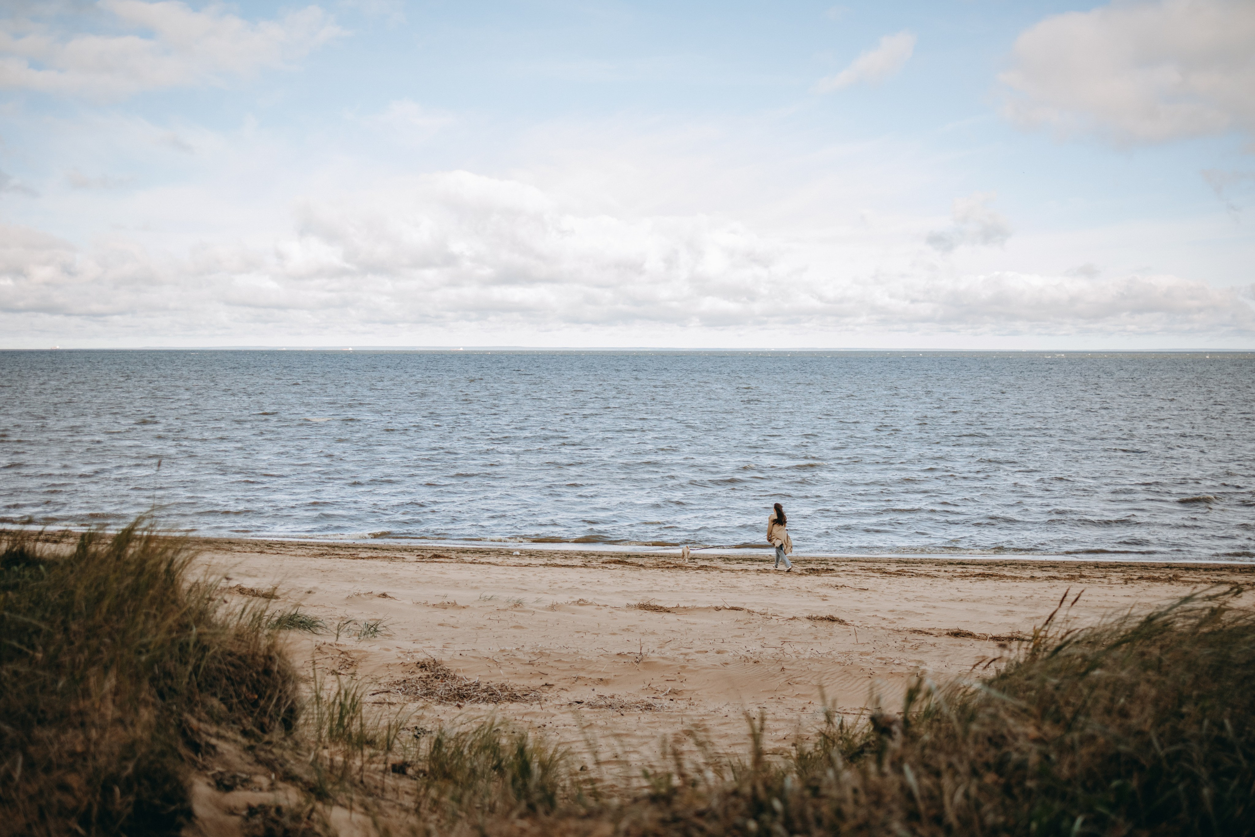 Алиса и Лео. Фотограф — Анималист | Санкт-Петербург