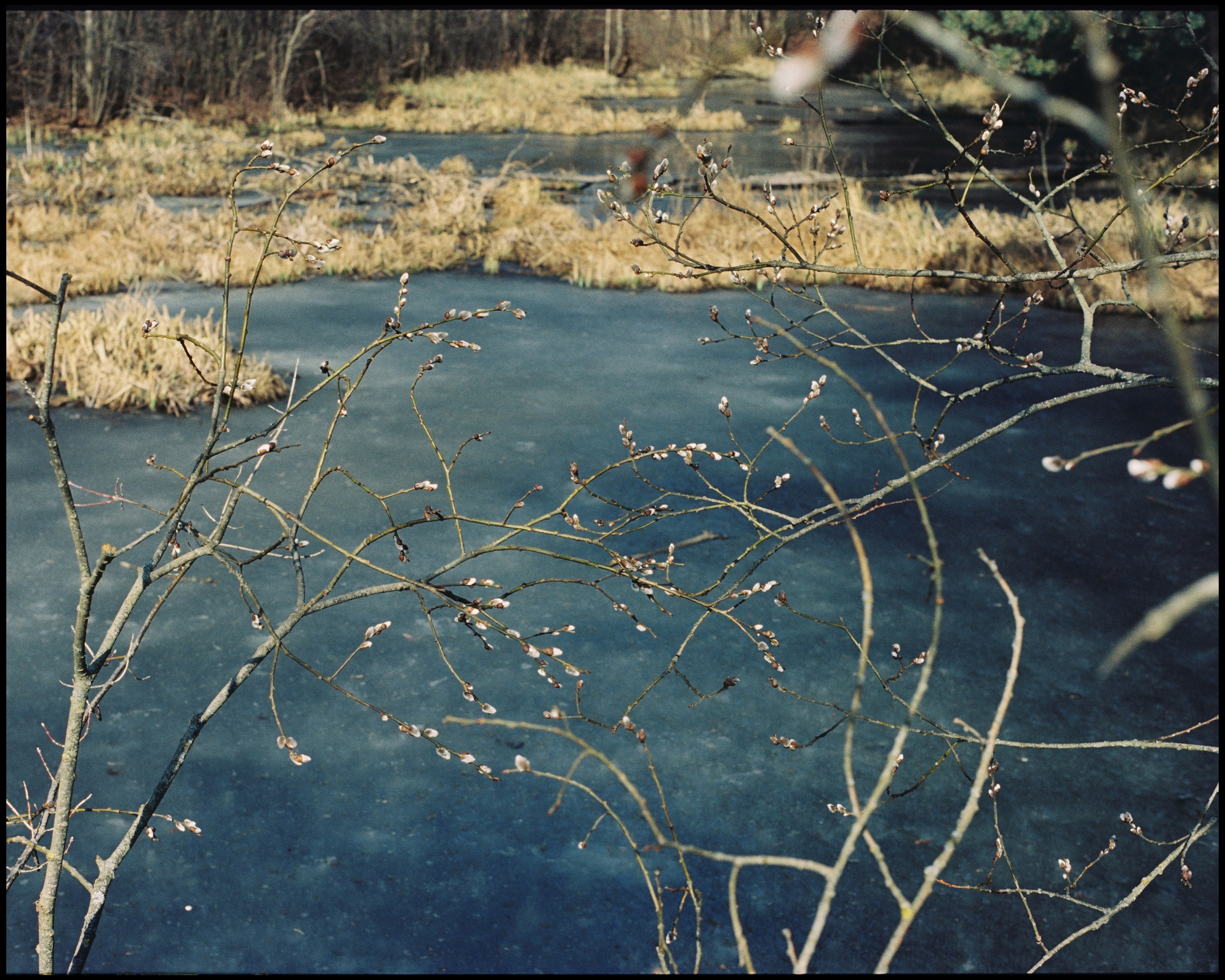 KALUGA. ANNA — PHOTOGRAPHER