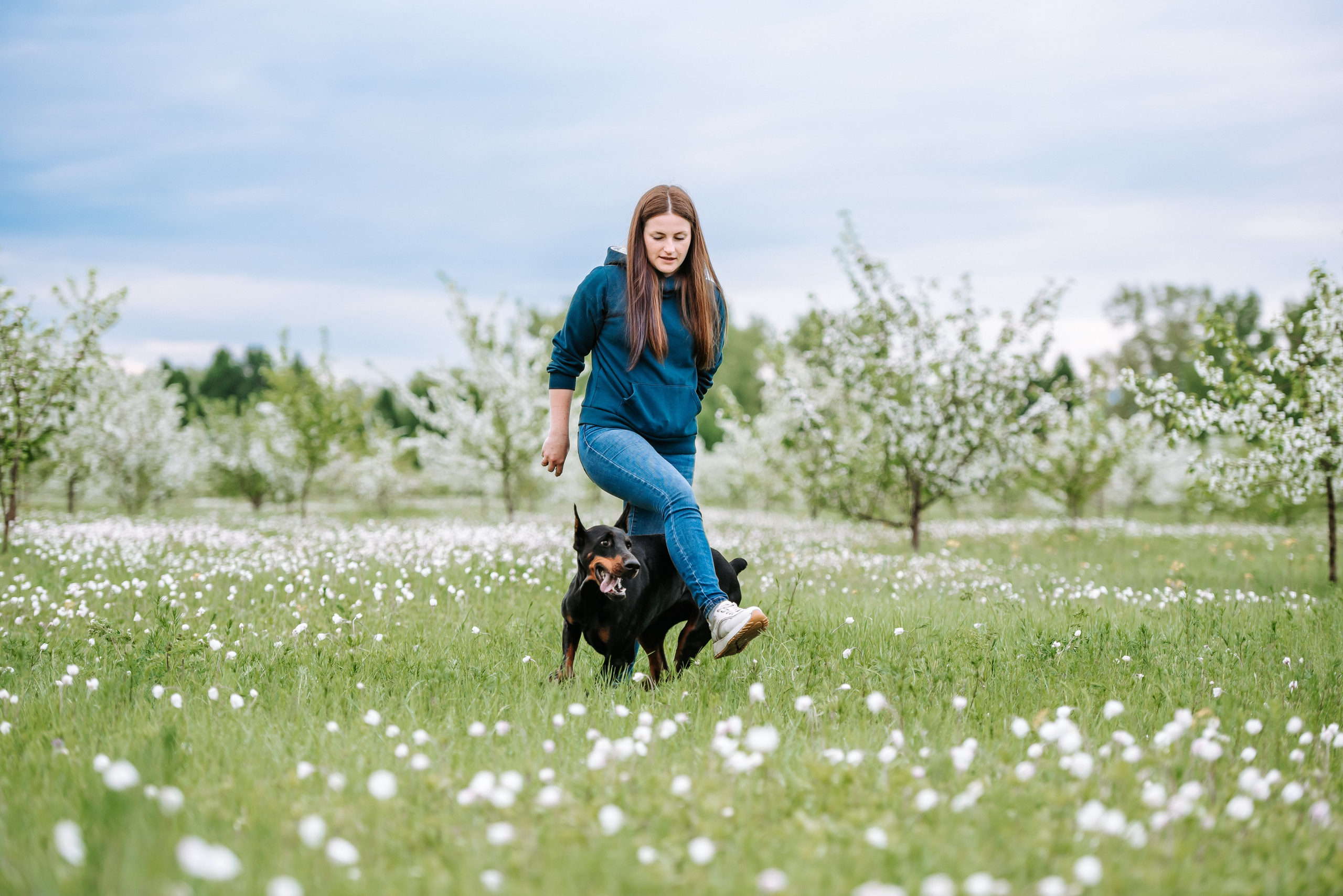 Цветение с доберманами. Фотограф Диана Оленина Красноярск / Братск