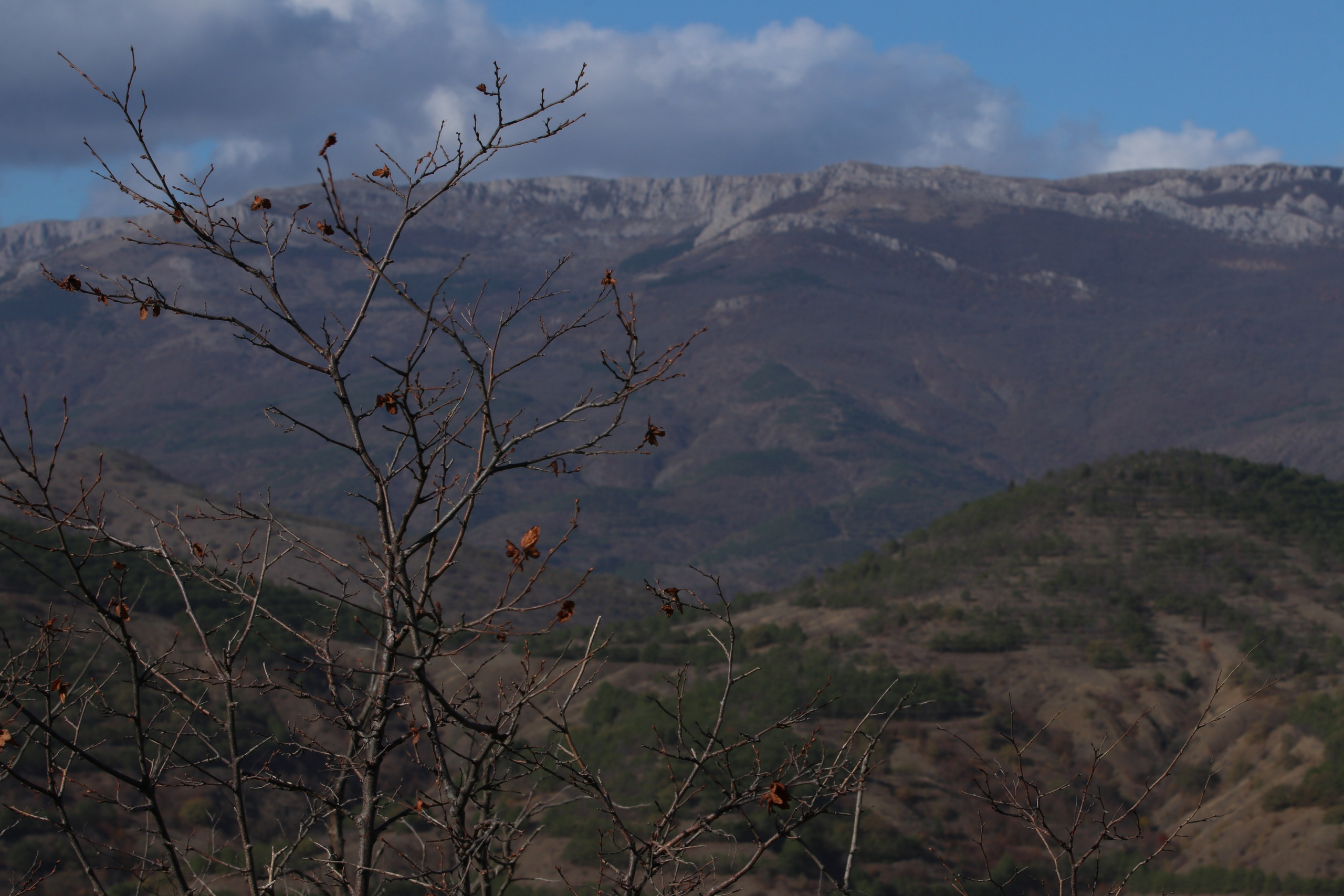 Крым. ЮБК (Гурзуф, Судак и их окрестности). Ноябрь 2023. Путешественник-фотограф из Санкт-Петербурга Татьяна Свистулина