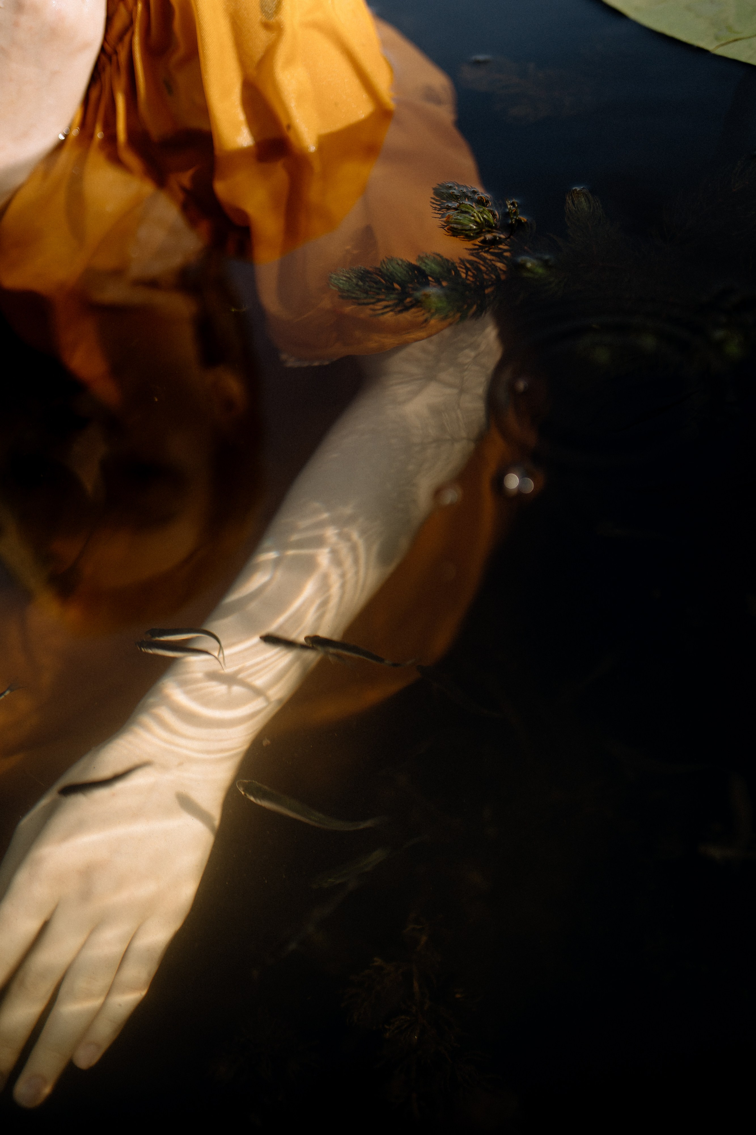 Индивидуальные женские. Андрейко Надежда