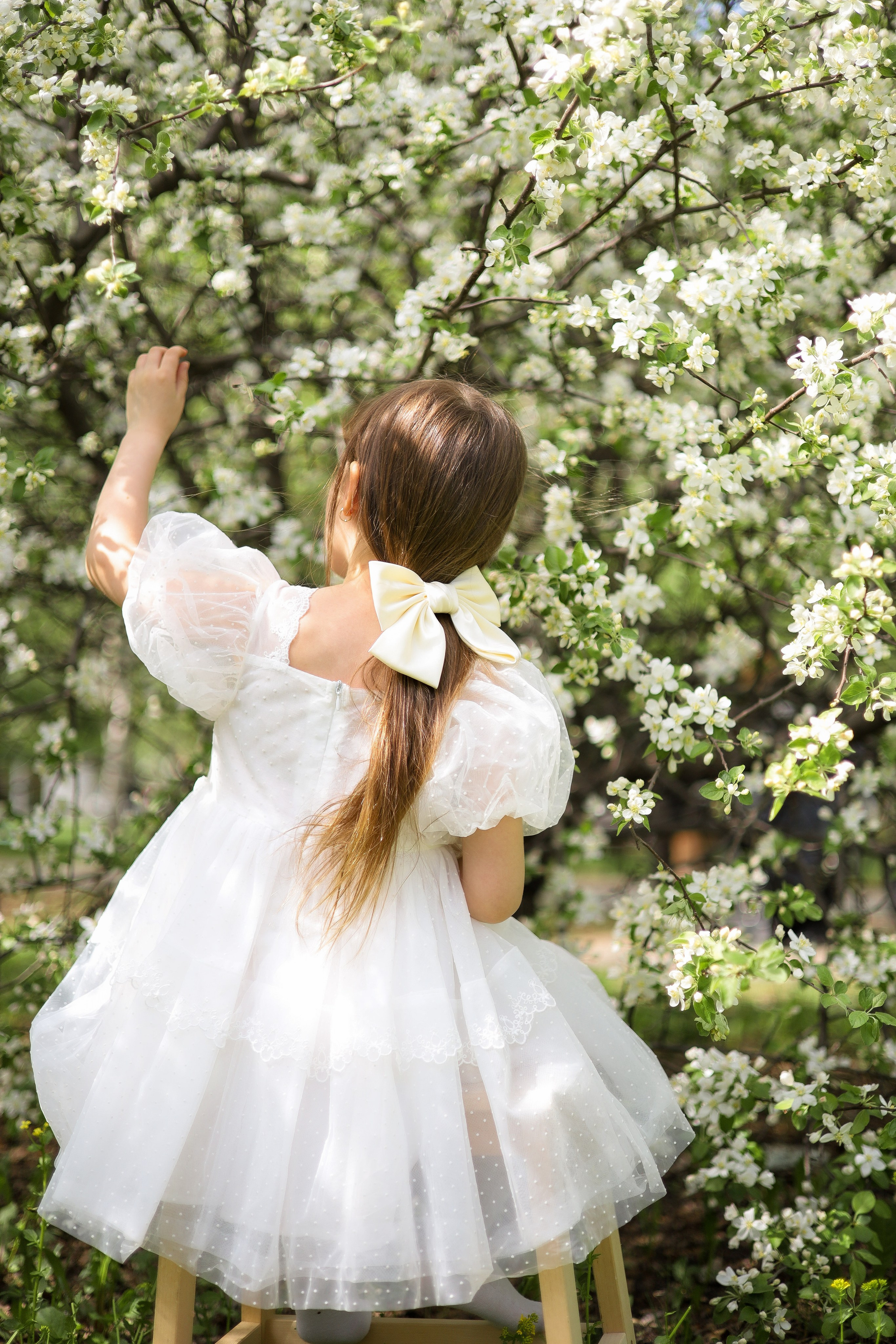 Индивидуальная фотосессия. Ваш семейный фотограф