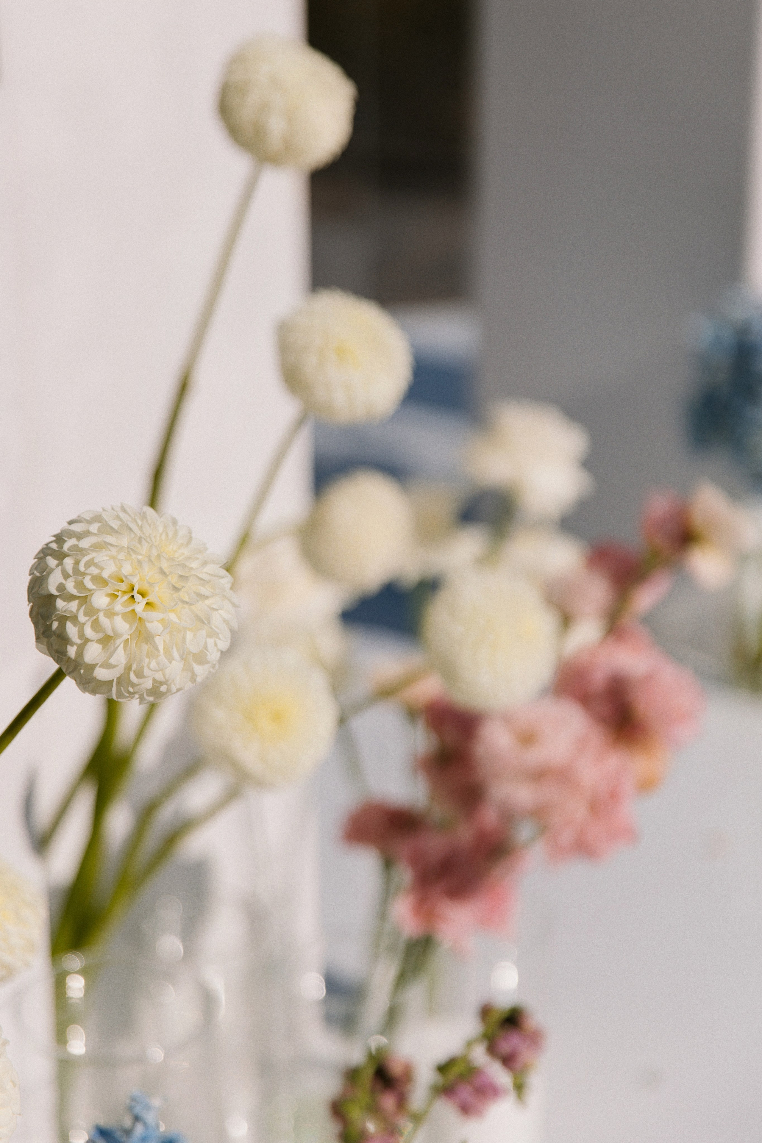 V ❤ A. Syrovatkina_Photographer.ru