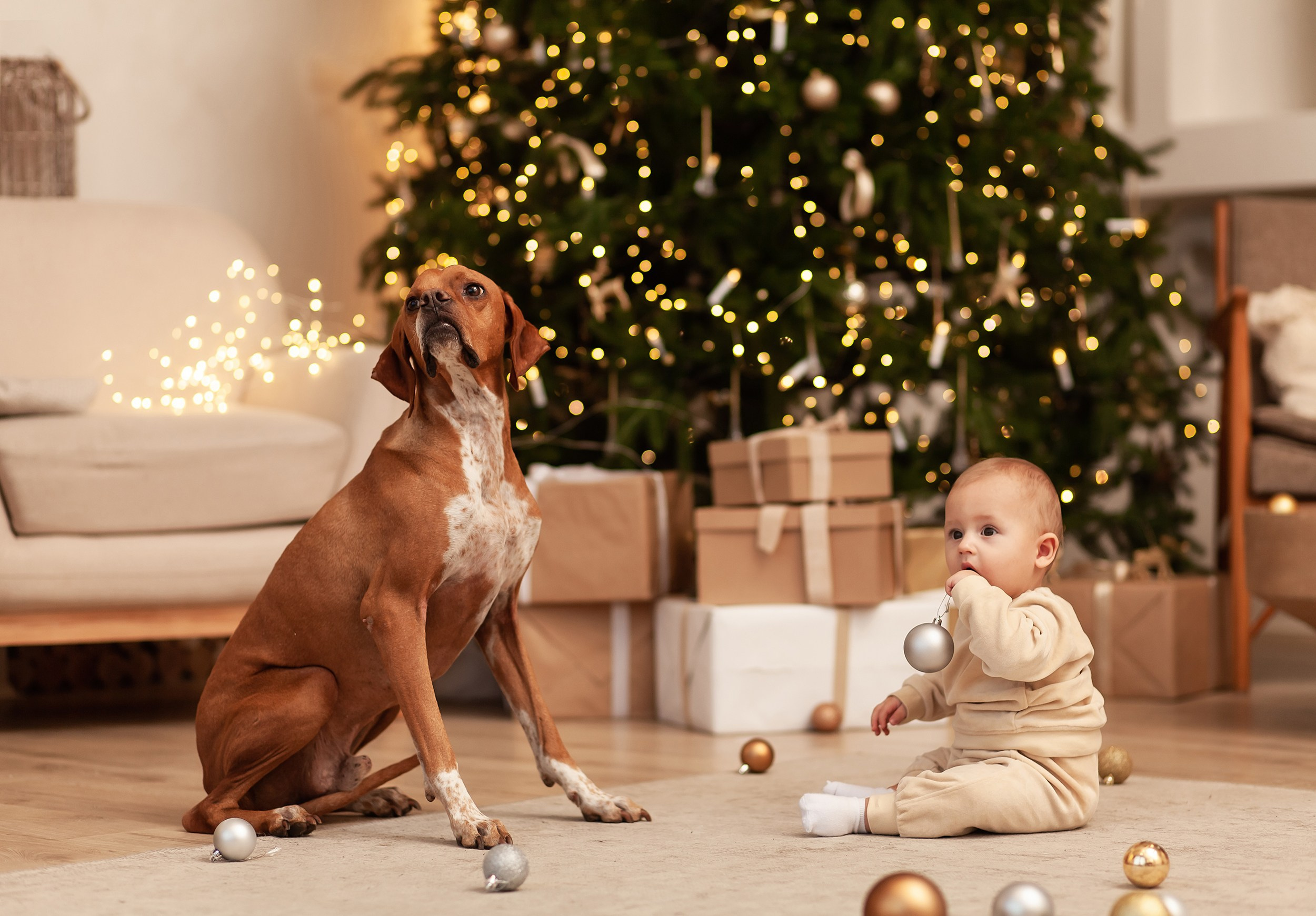 Семейное фото в студии с собакой
