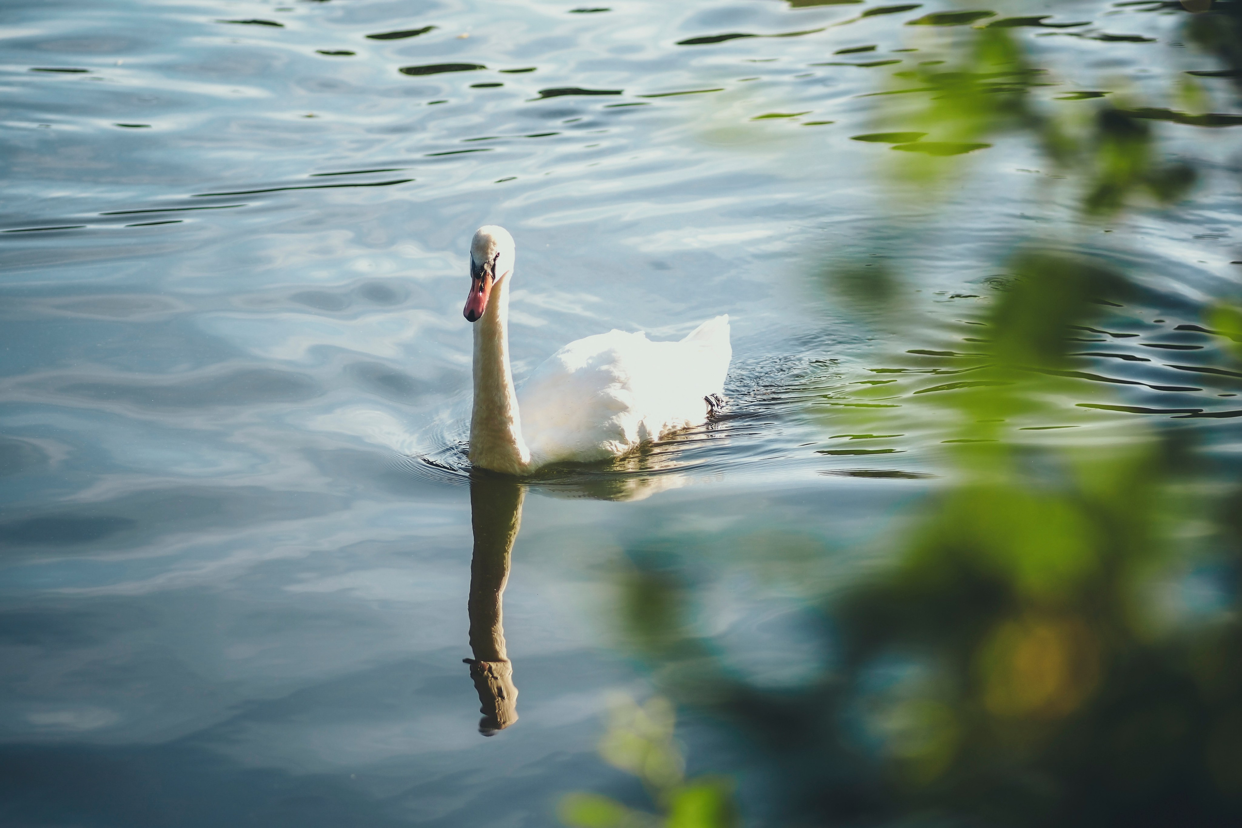 Крестовский остров. Свадебный фотограф Копков Геннадий