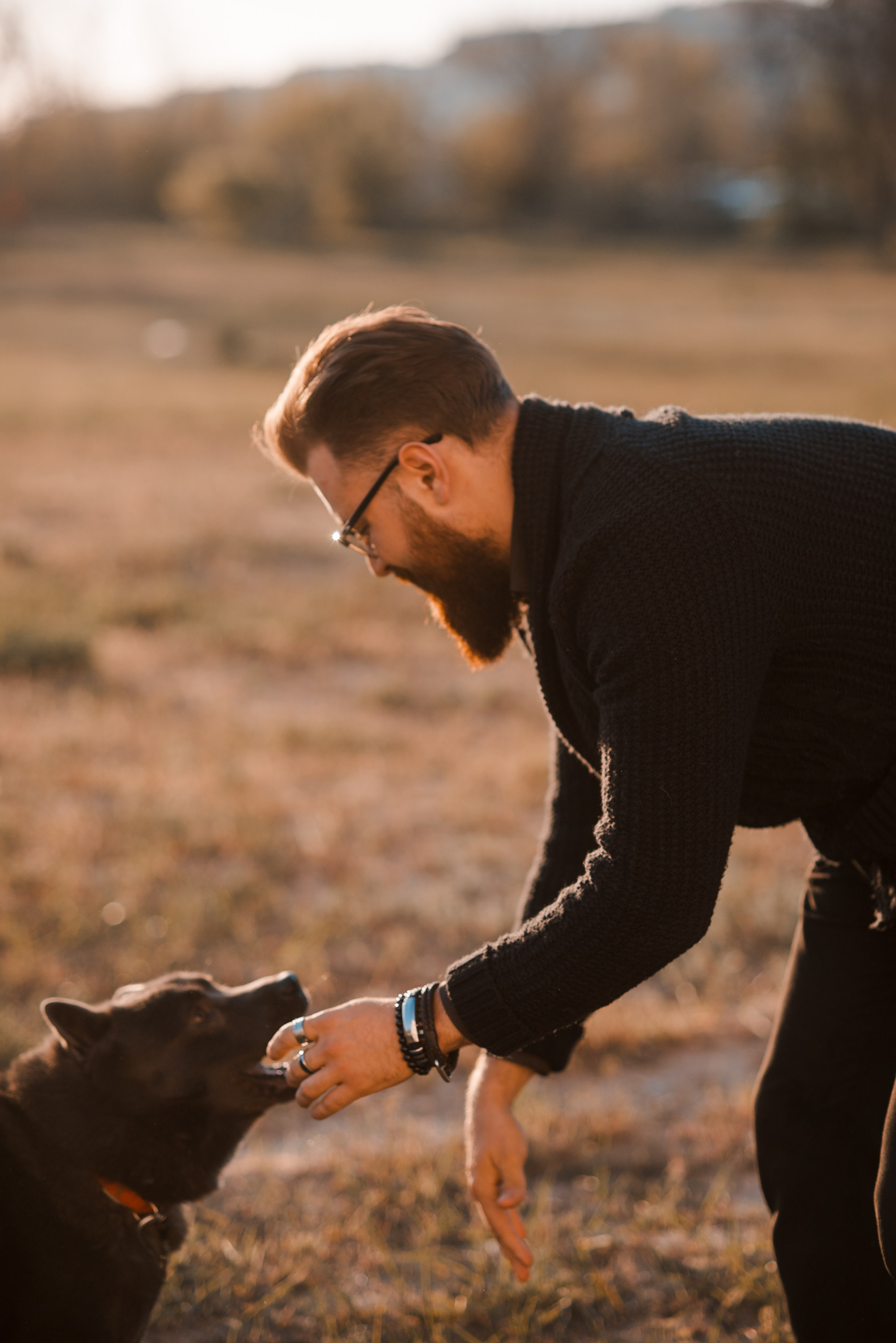 Ярослав. Главная