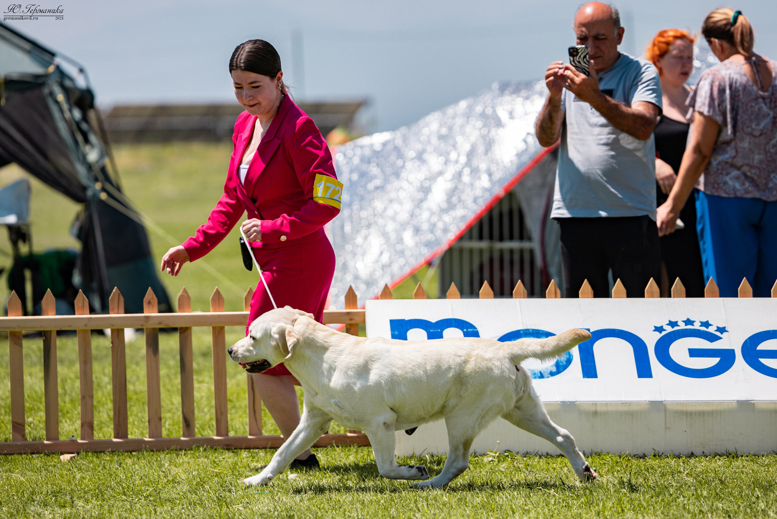 Ереван 3-5.06.2024. Фотограф-анималист Юлия Германика