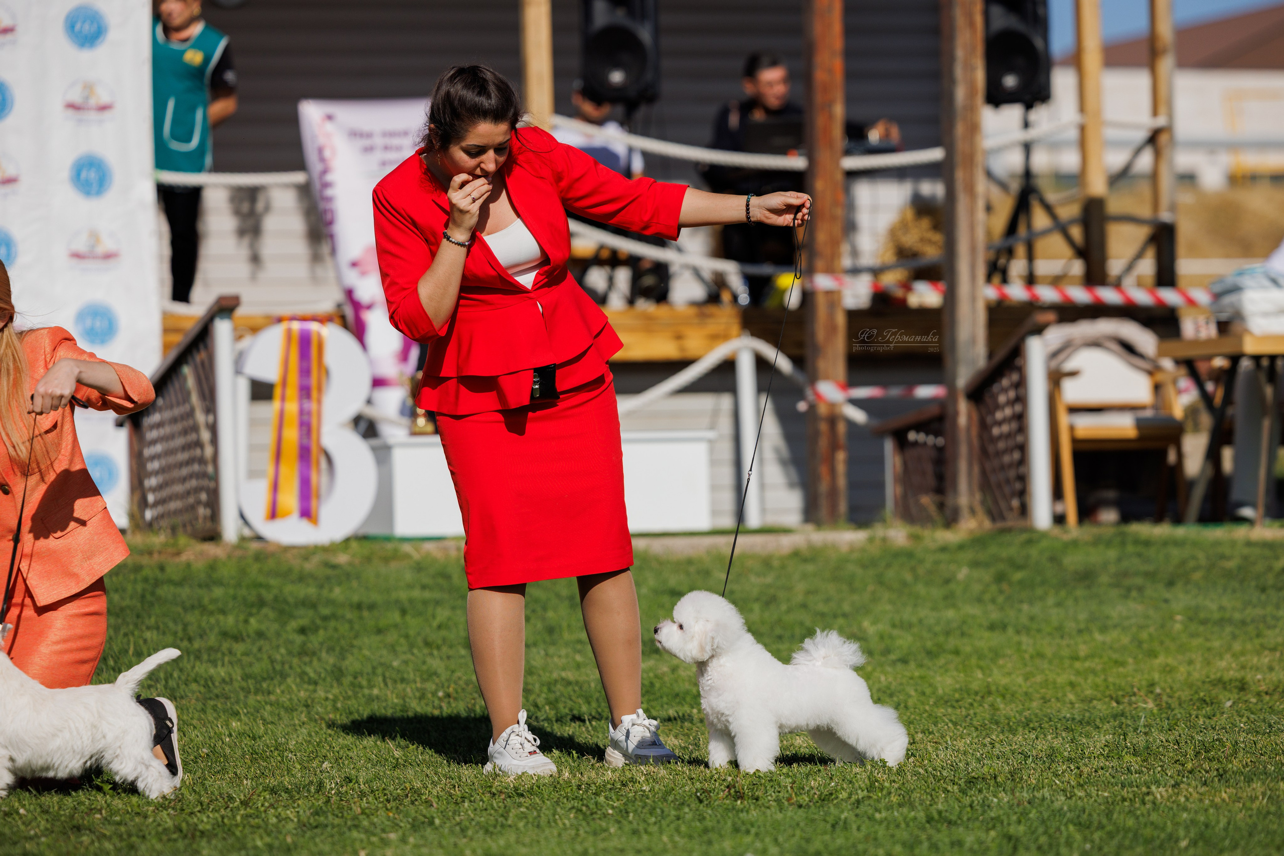 Ереван 14-16.10.2025. Фотограф-анималист Юлия Германика
