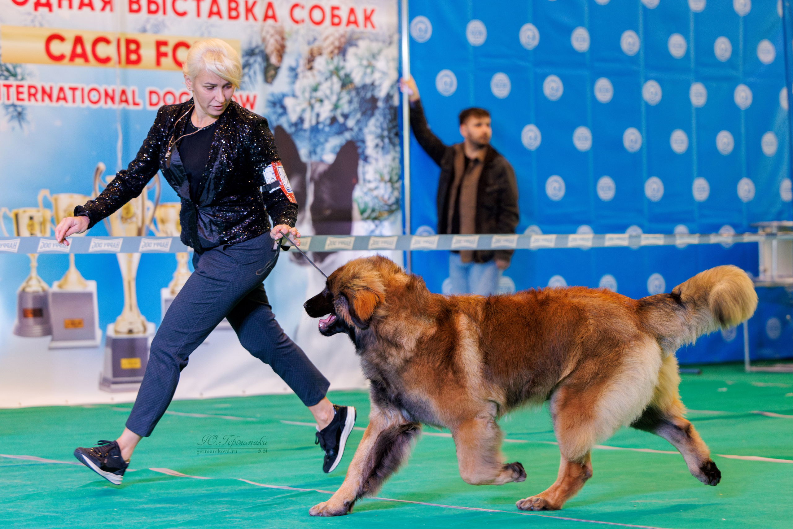 Минск 23.11.2024. Фотограф-анималист Юлия Германика