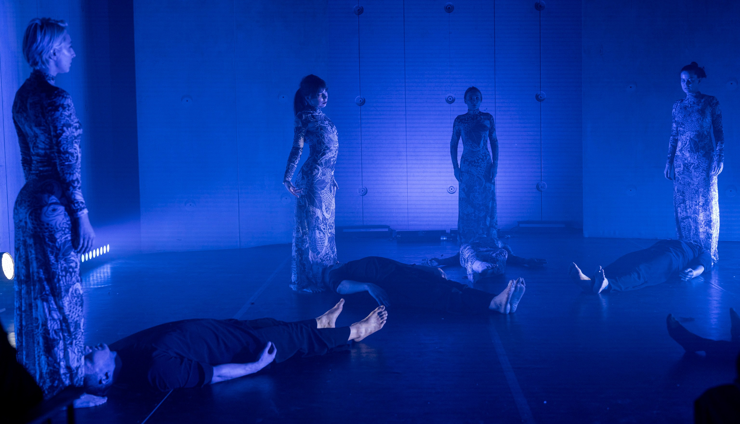 Кукушка. Сон 19. Фотограф Сергей Танков