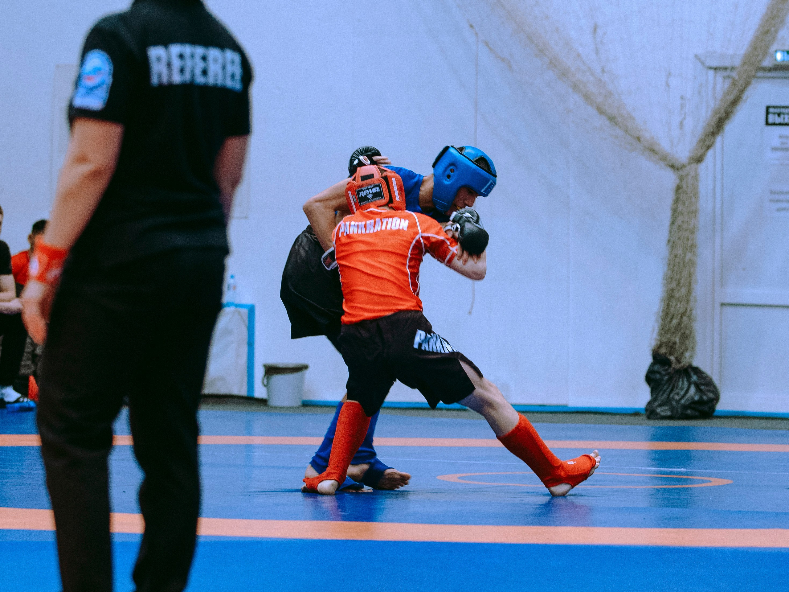 ПАНКРАТИОН | Чемпионат и первенство СФО | март `24. Портретный фотограф в Москве Дарья Цезария