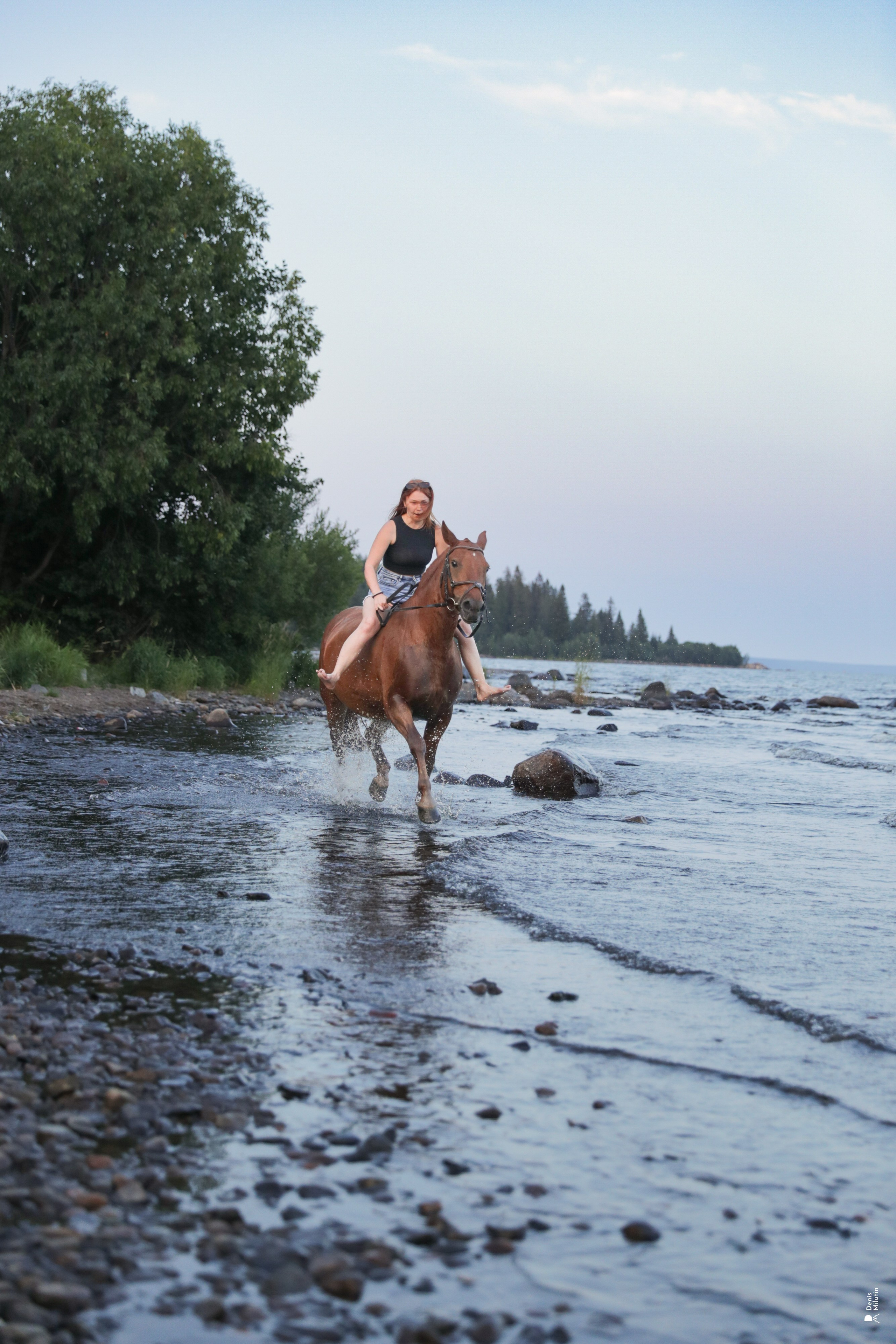 Фото с лошадьми. Портретный фотограф Денис Милютин