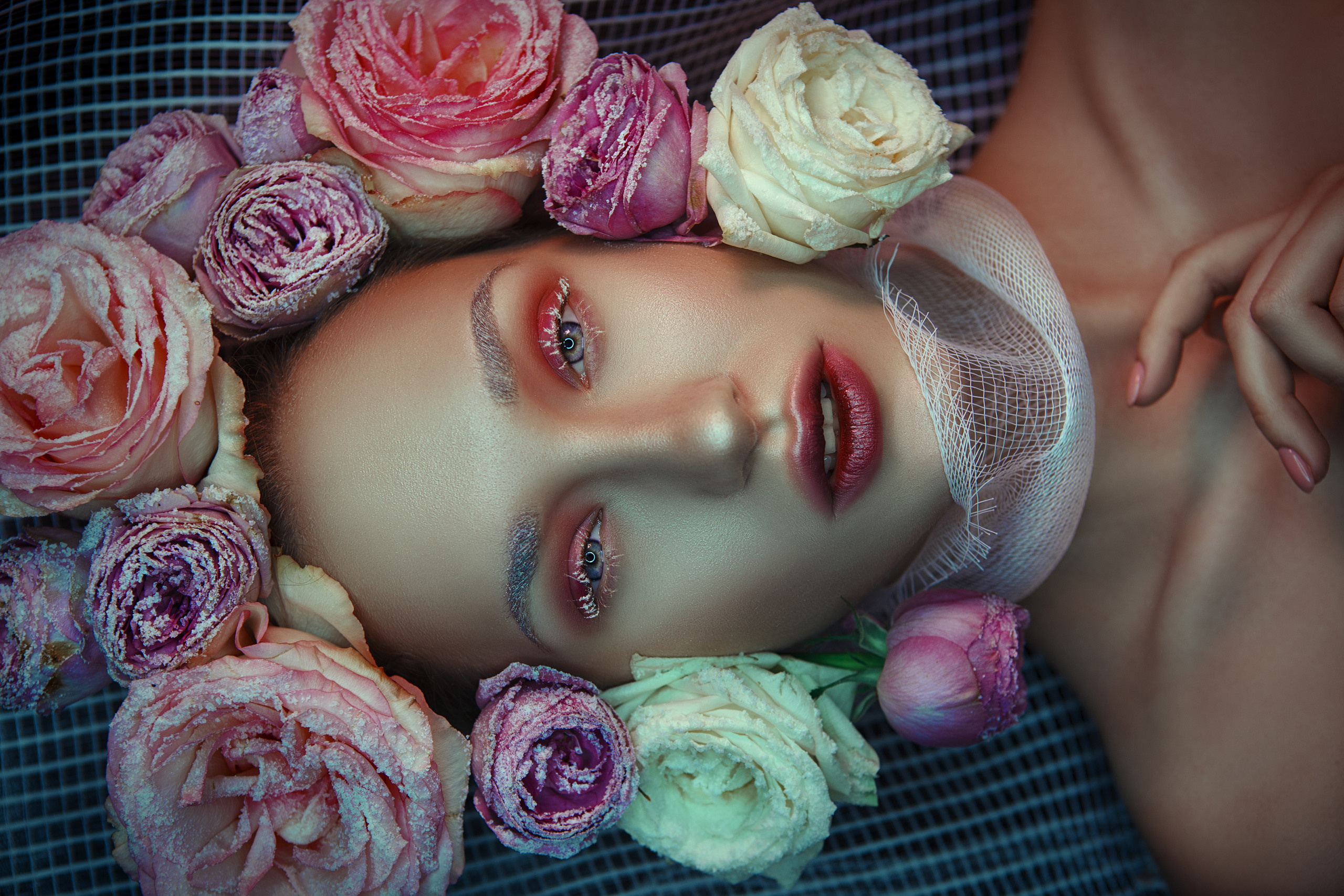 Roses. Art photographer Katerina Klio