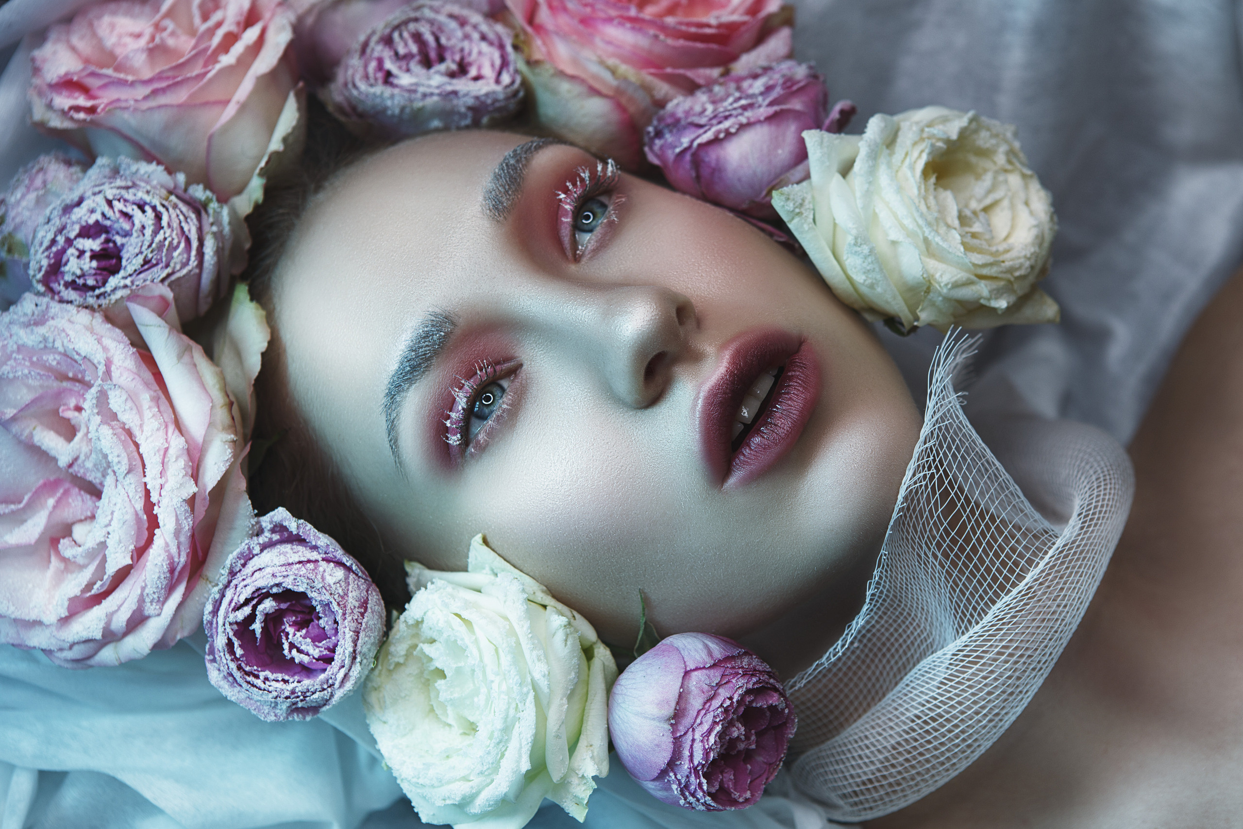 Roses. Art photographer Katerina Klio
