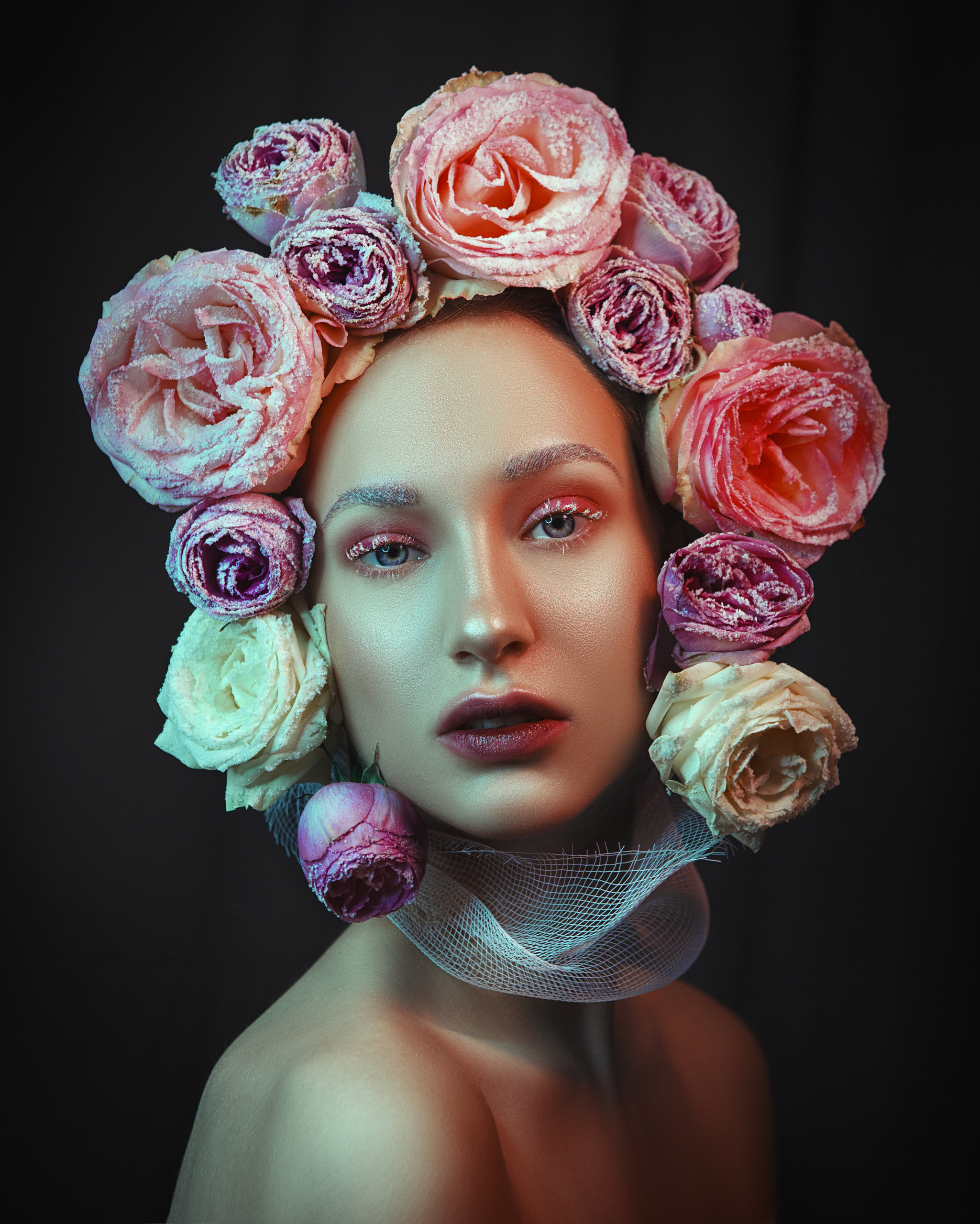 Roses. Art photographer Katerina Klio