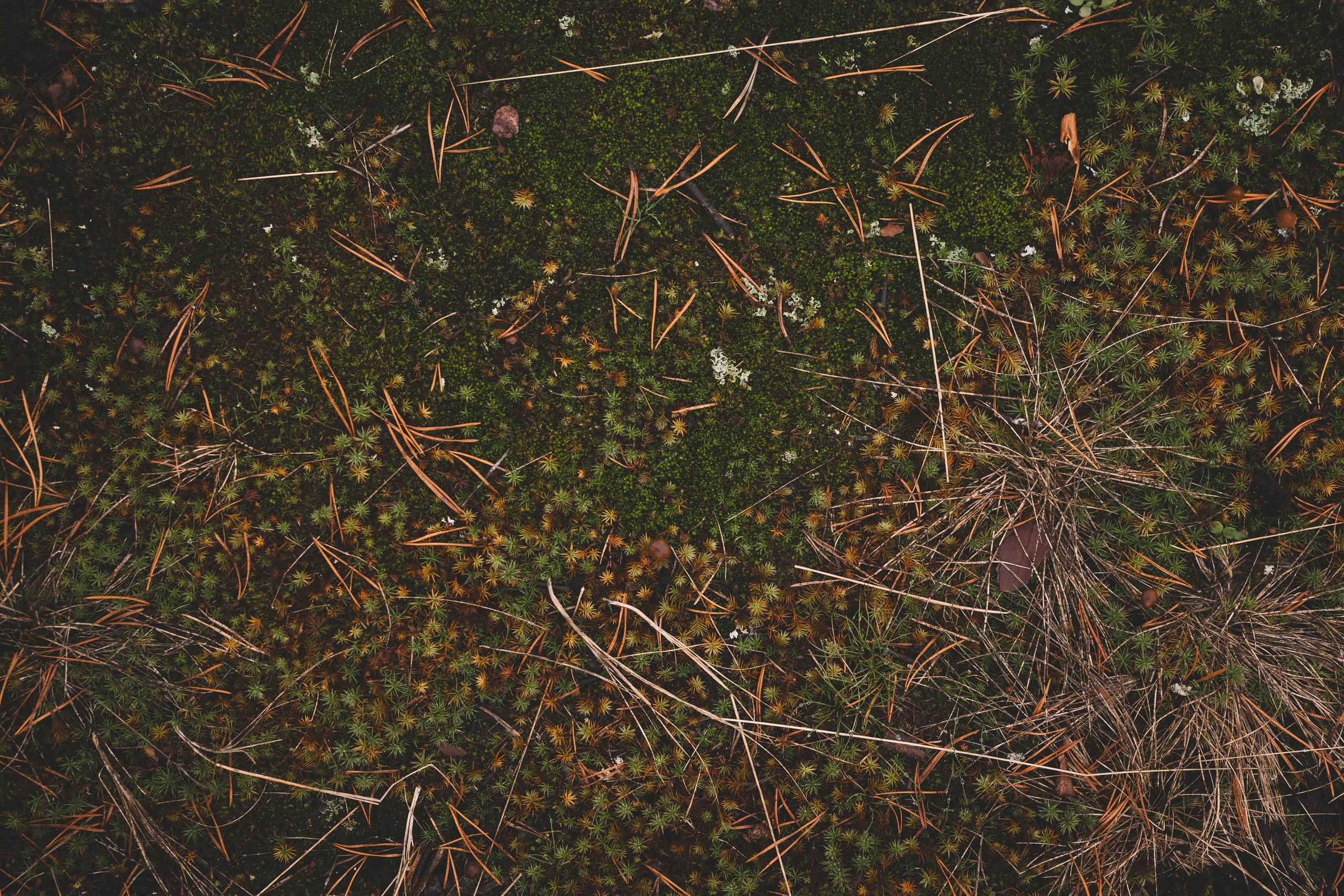 Фотосессия для музыкантов в СПб. Профессиональный фотограф в Санкт-Петербурге Александр Волосенцев