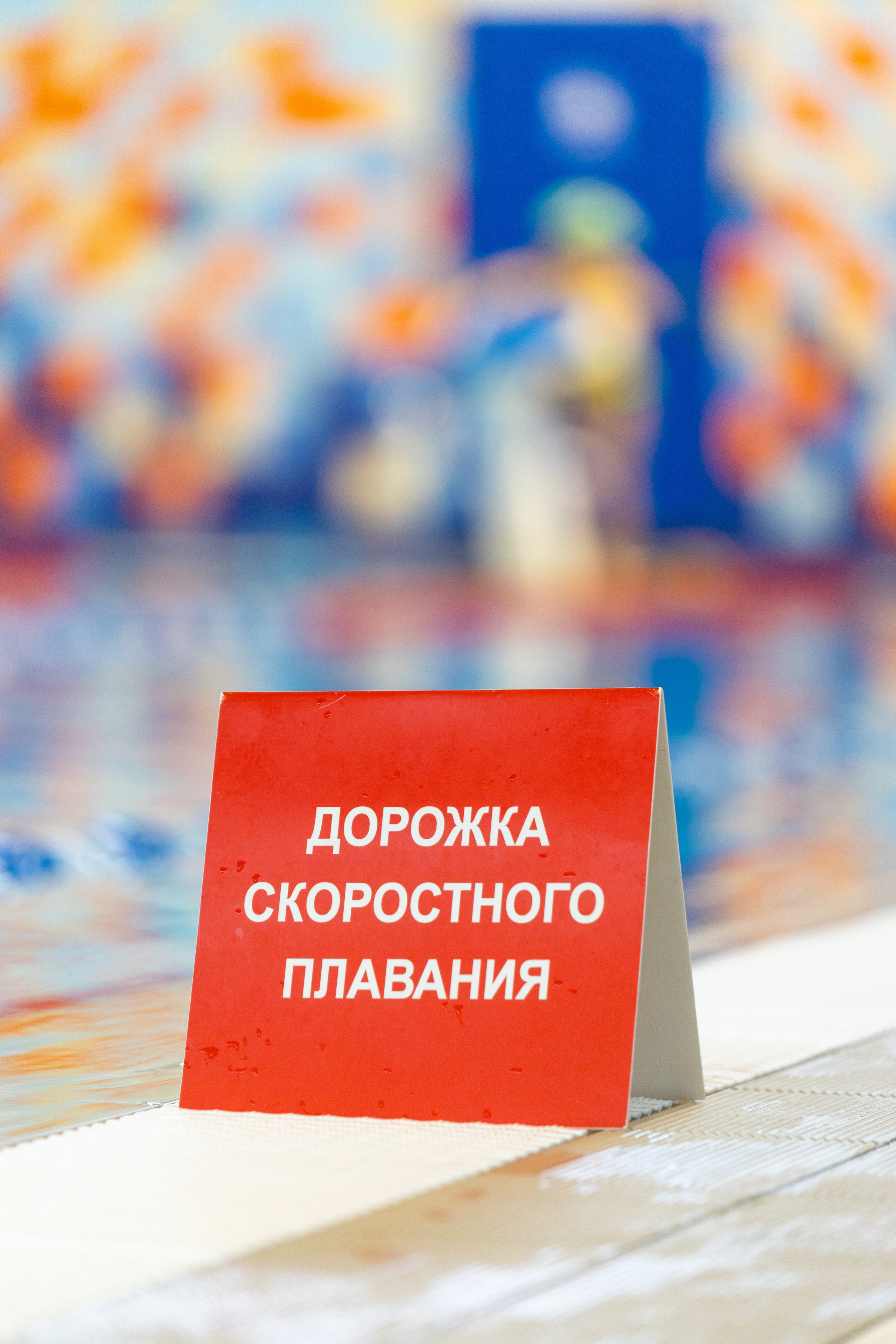 Плавание в ластах (разные годы, более 10 репортажей выборка пополняемая). Фотограф в Туле Крупский АнДРей. Фотостудия «КАДР71» в Туле