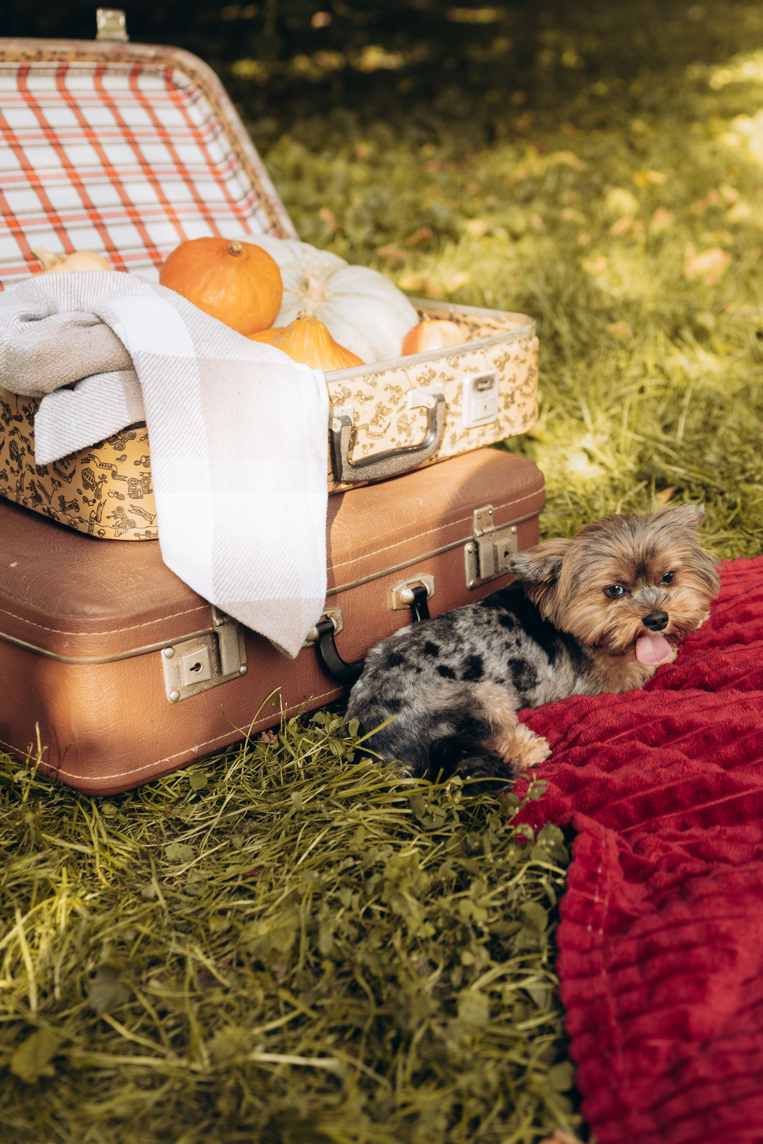 Настя, Женя и Йося