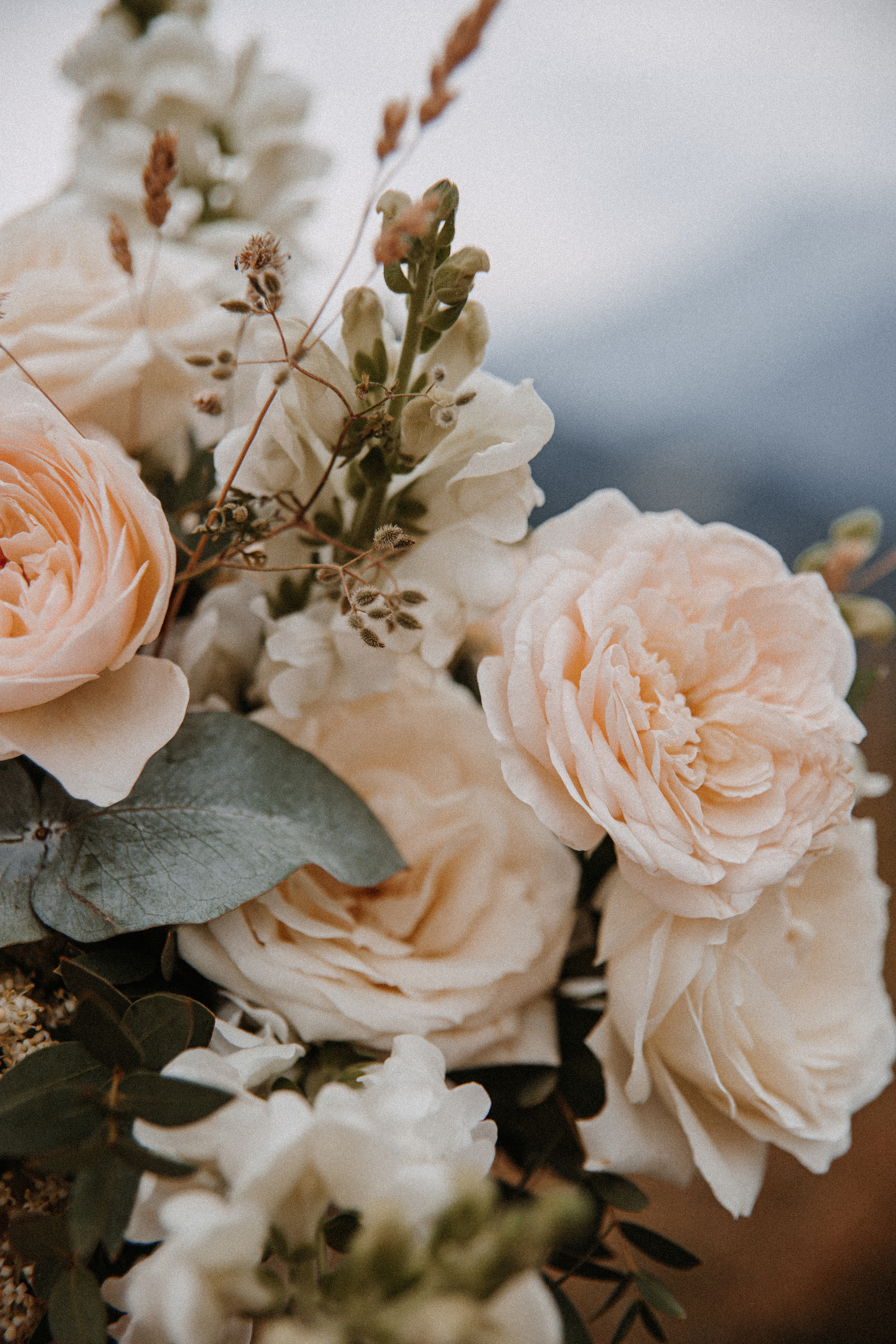 Настя и Илья. Свадебный фотограф Наталья Балутутина. Россия-Европа-Мир