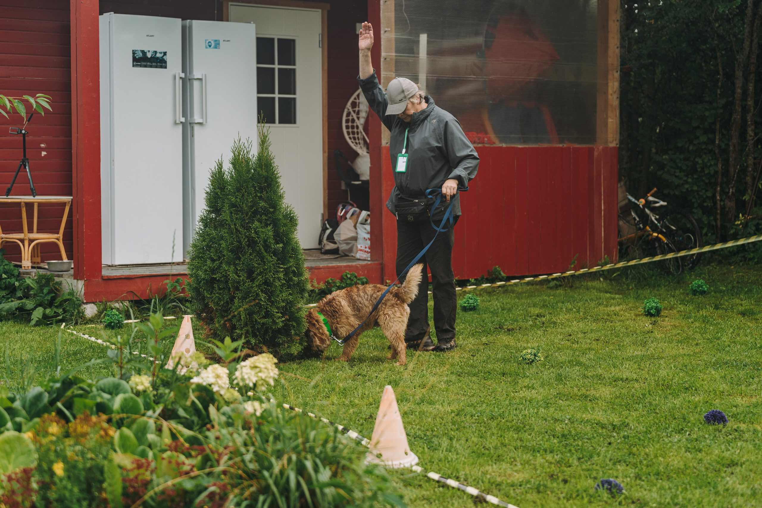 Соревнования по ноузворку в Новожилово. Фотограф анималист в Спб недорого Олеся Майорова