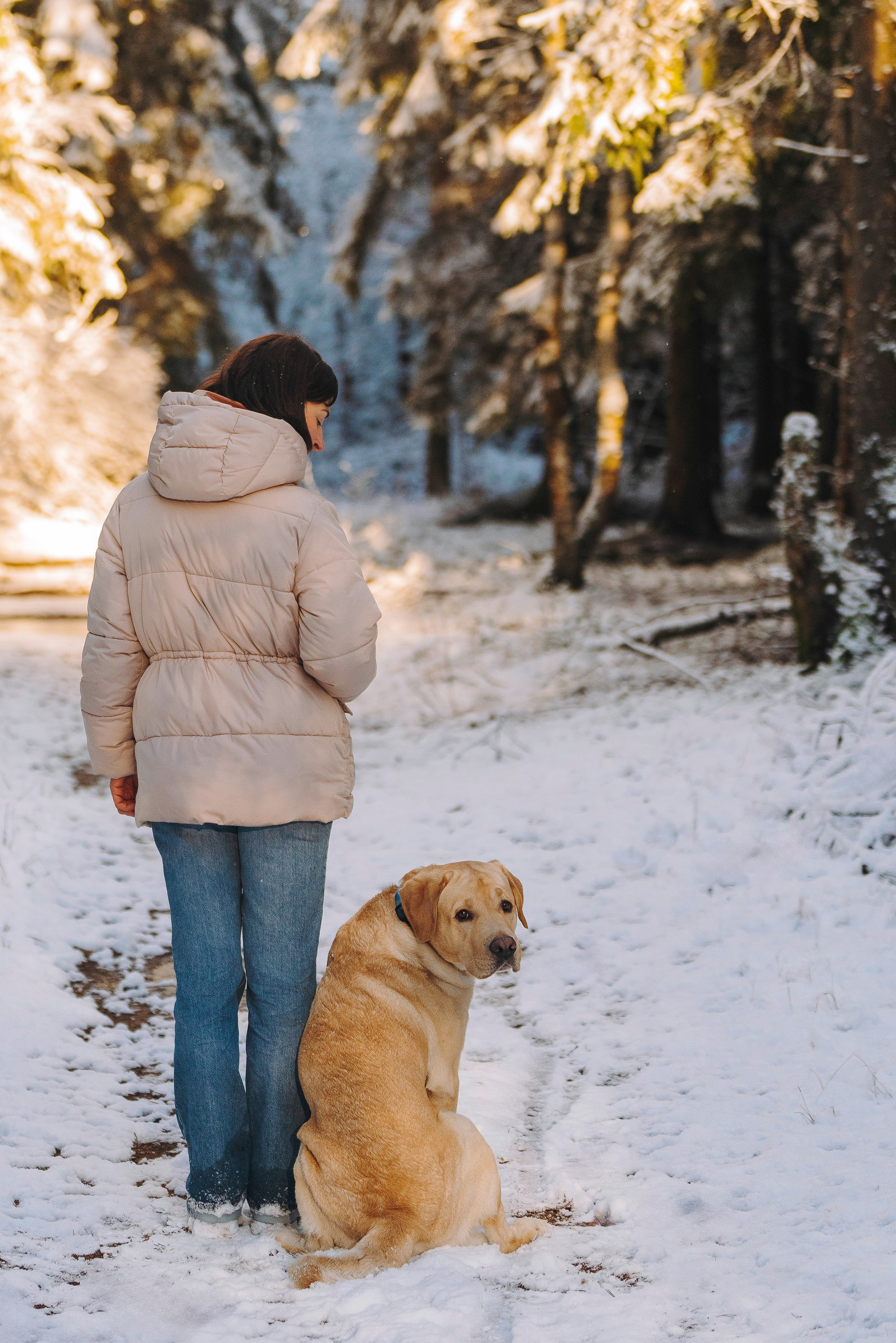 Аня и Честер. Фотограф анималист в Спб недорого Олеся Майорова
