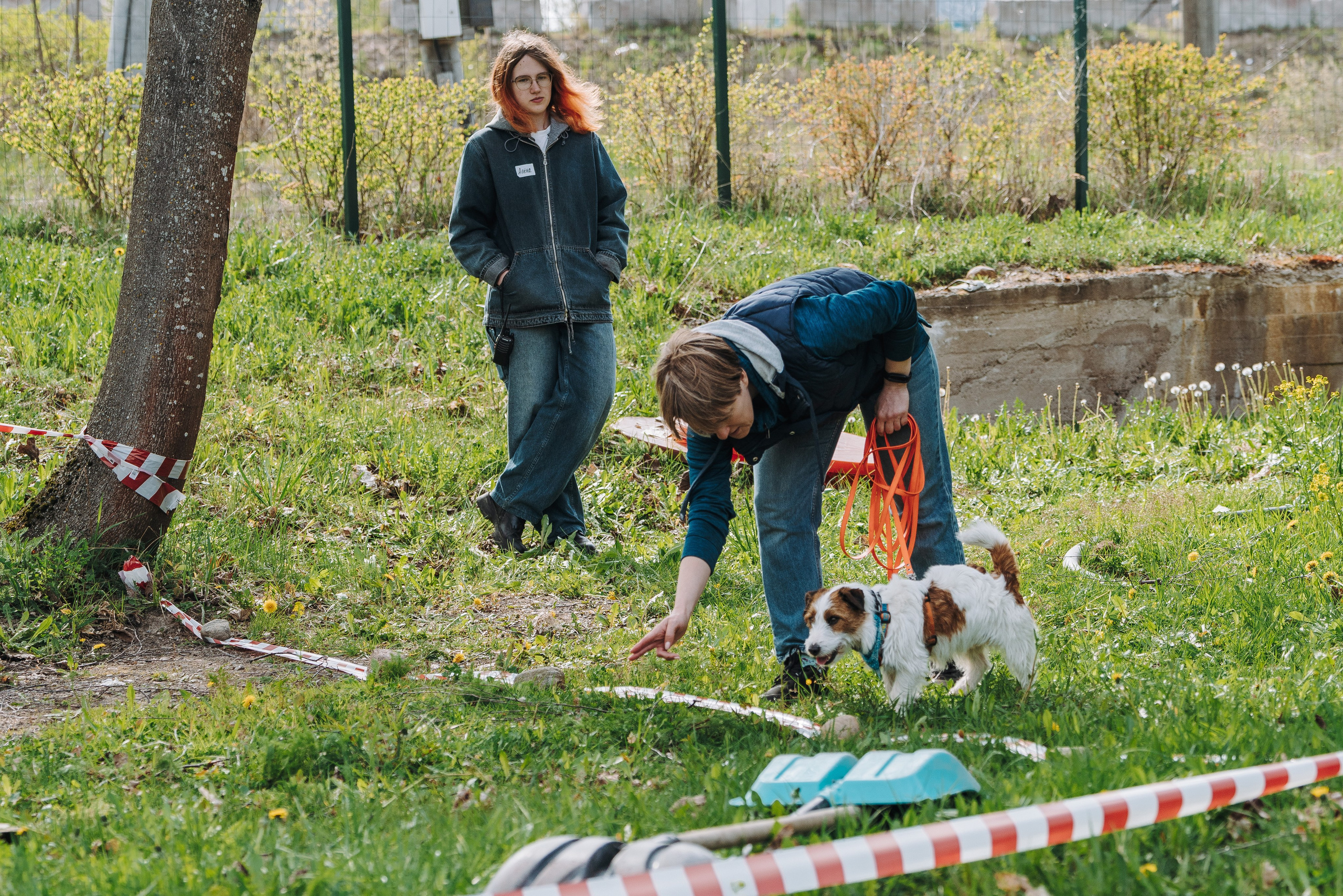 Соревнования по ноузворку в Лосево. Фотограф анималист в Спб недорого Олеся Майорова