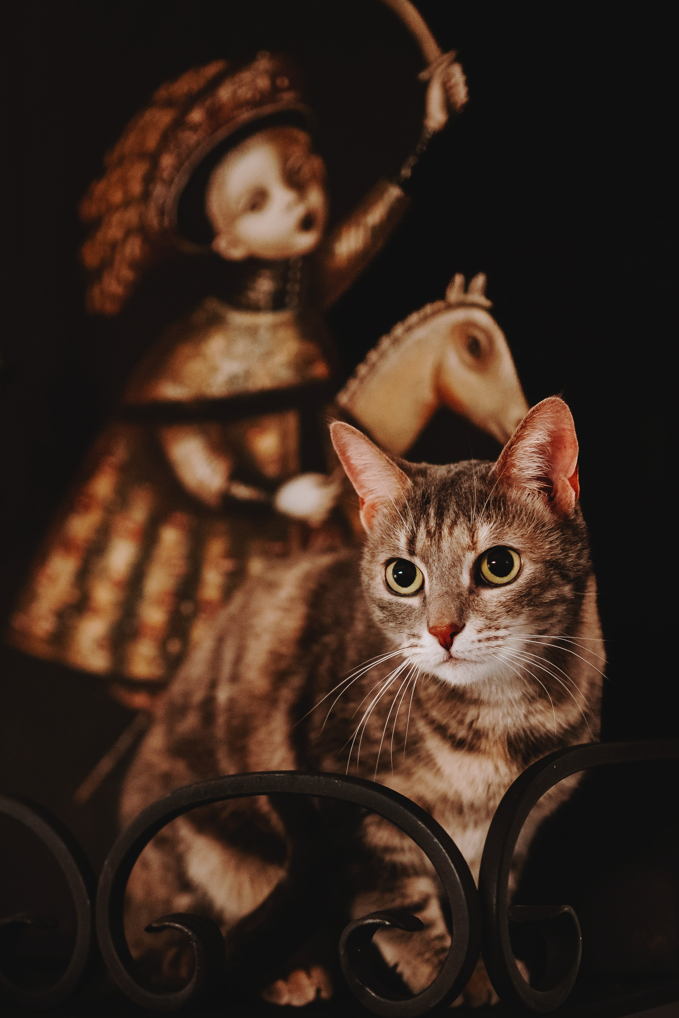 Натали и Иззи. Фотограф анималист в Спб недорого Олеся Майорова