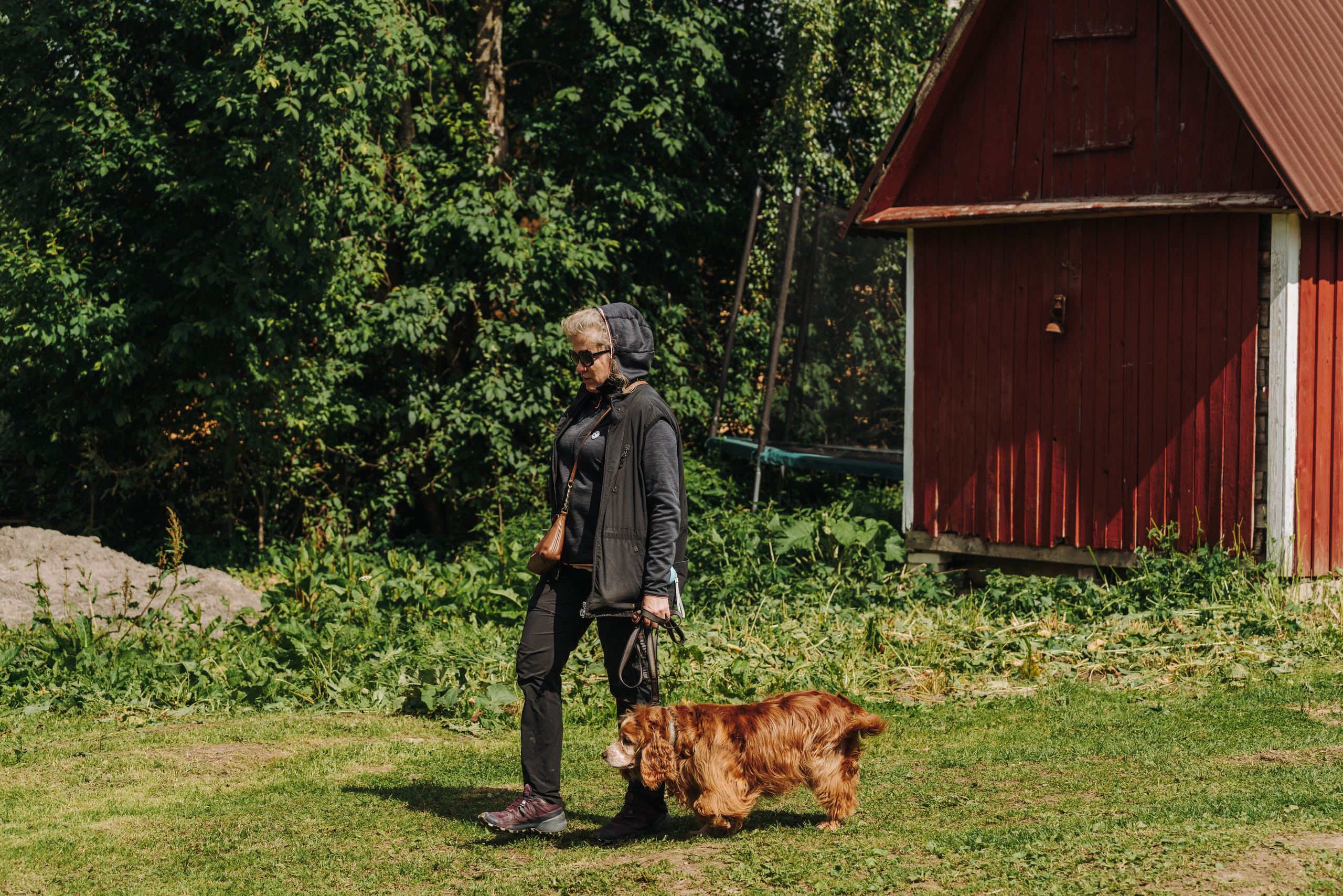 Соревнования по ноузворку. Фотограф анималист в Спб недорого Олеся Майорова