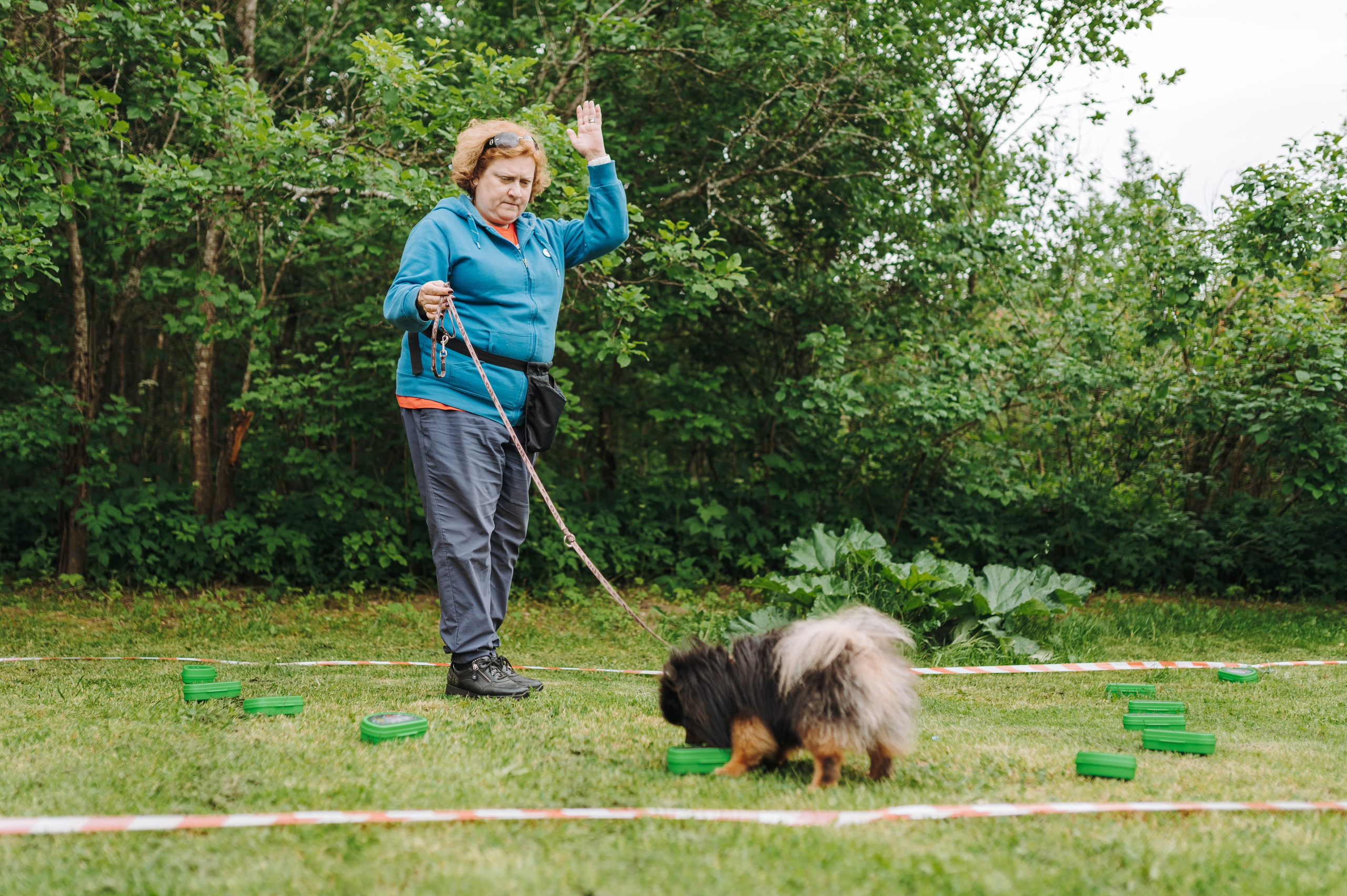 Соревнования по ноузворку. Фотограф анималист в Спб недорого Олеся Майорова